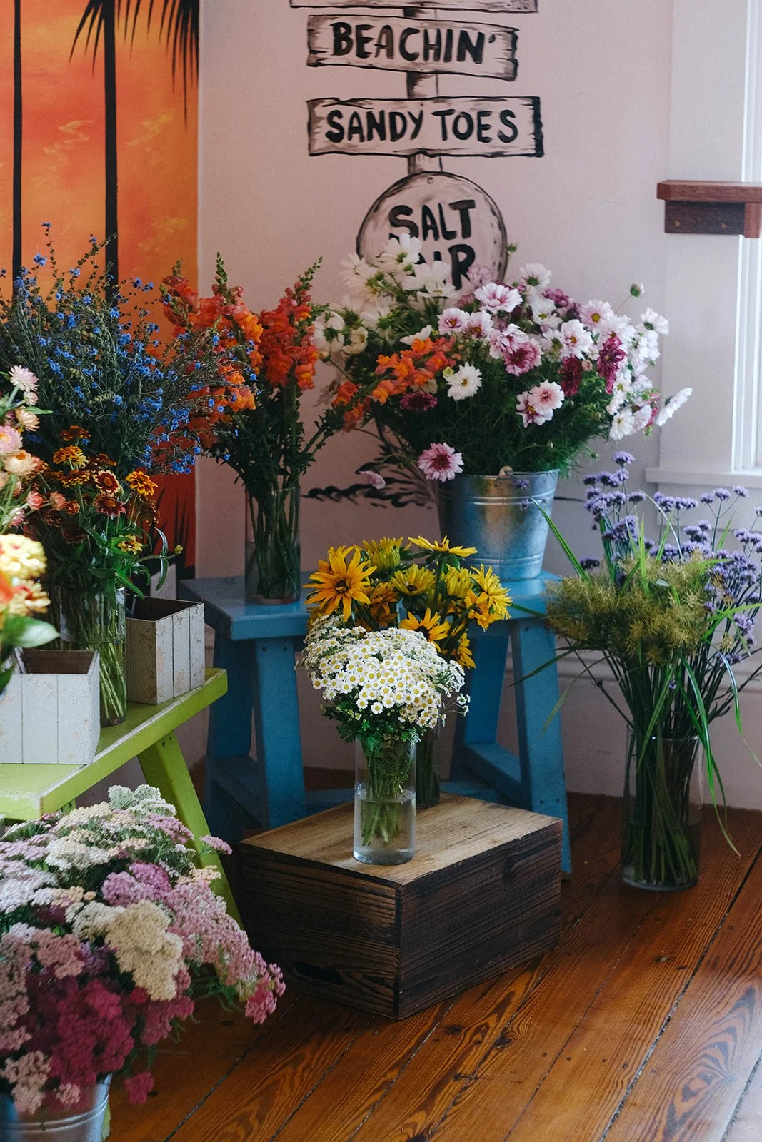 DSCF9133.jpg