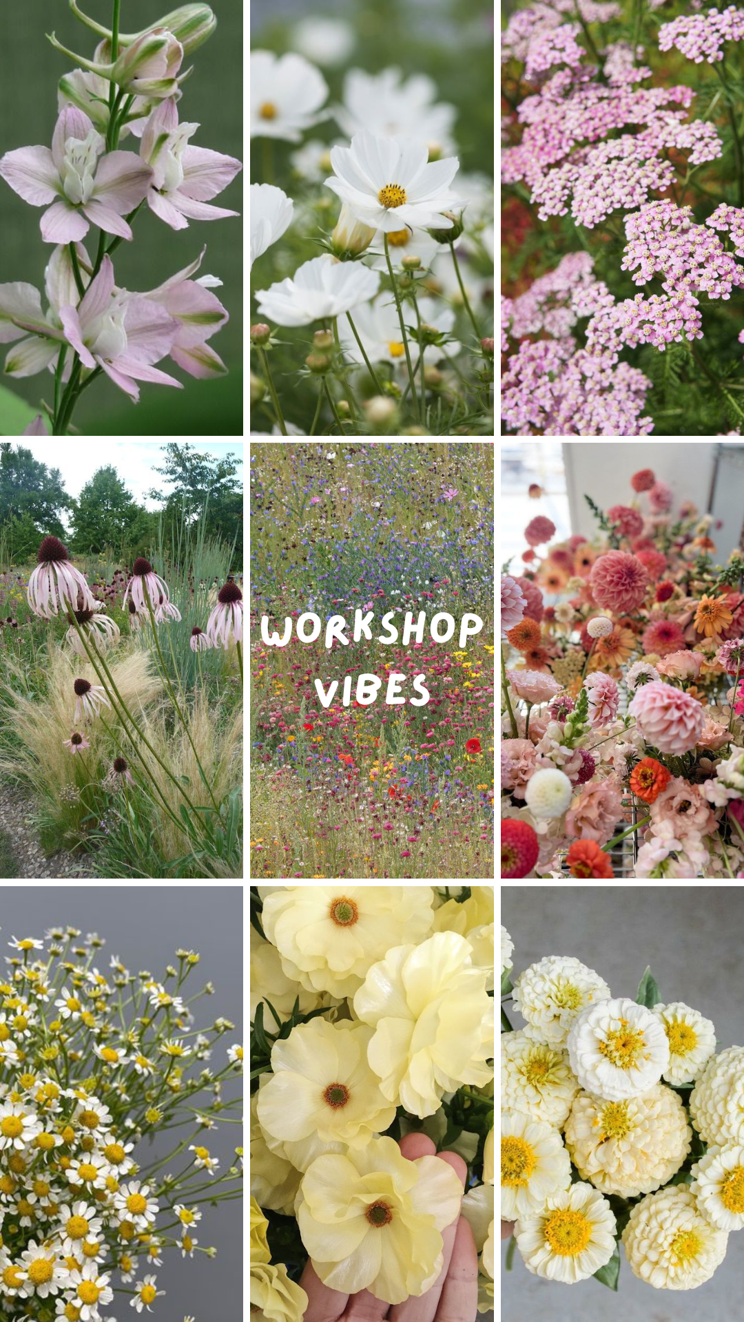 workshop vibes.png