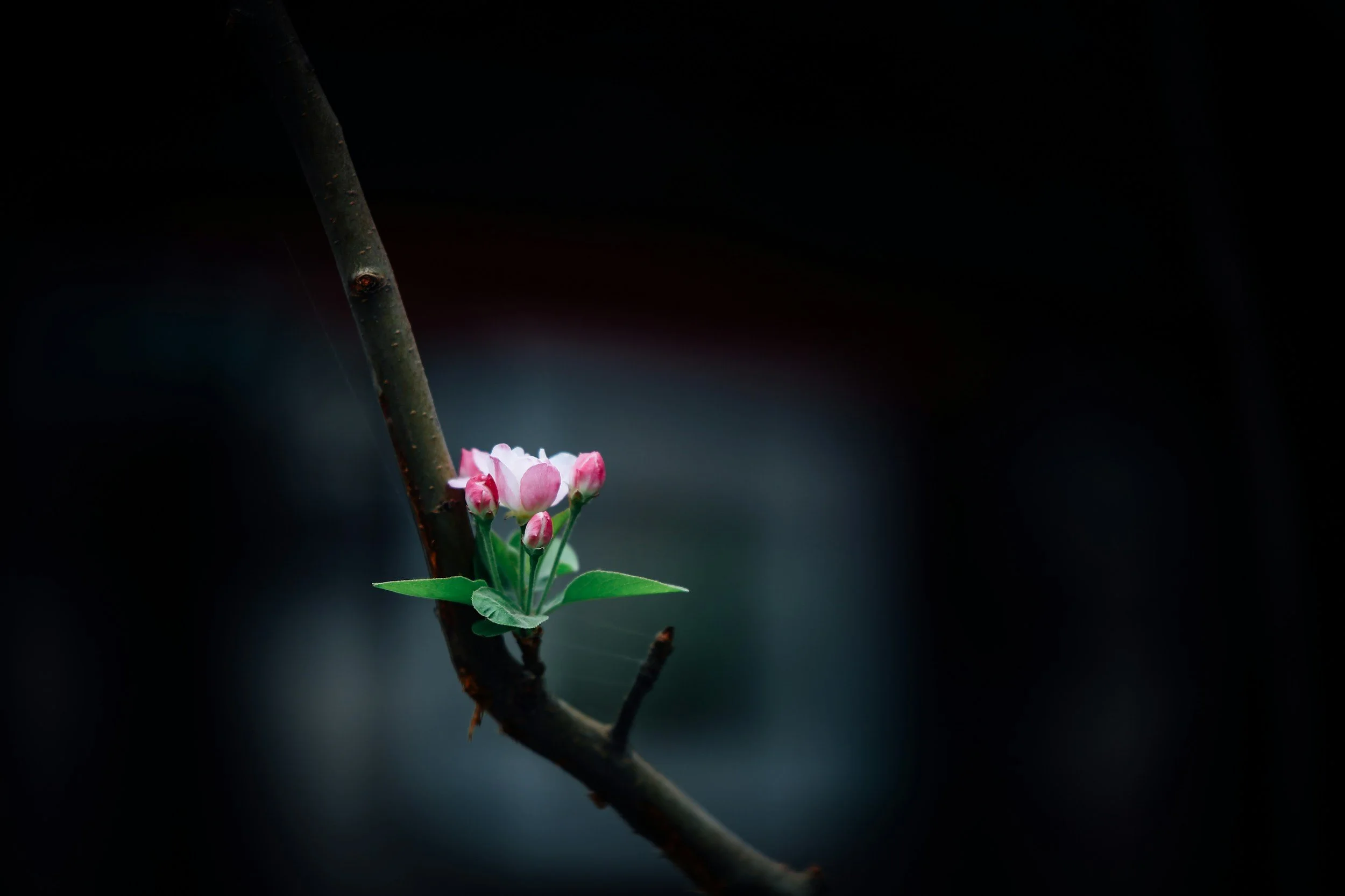 Faithfulness in the Little Things