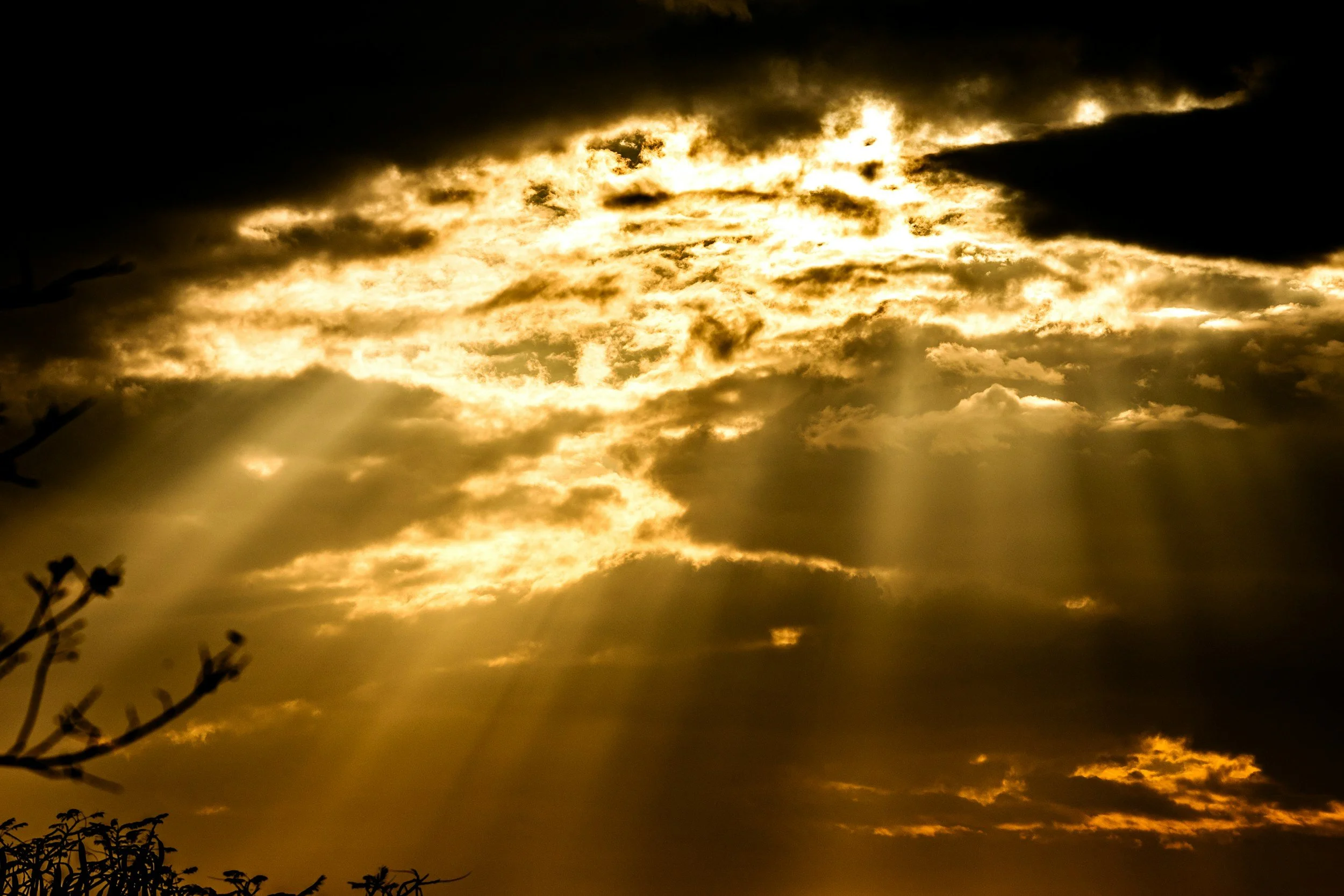 Faithfulness Leads to Eternal Reward