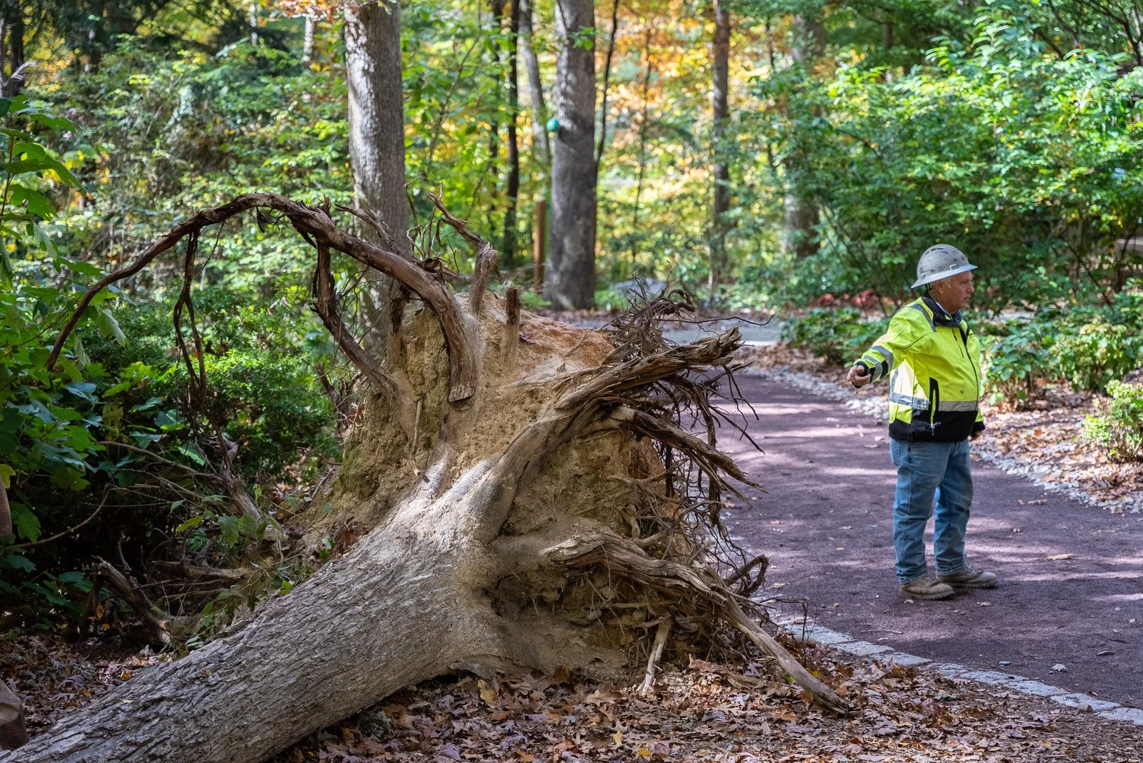 partners-excavating-jmu-arboretum-harrisonburg-va-commercial-excavating-1010.jpg