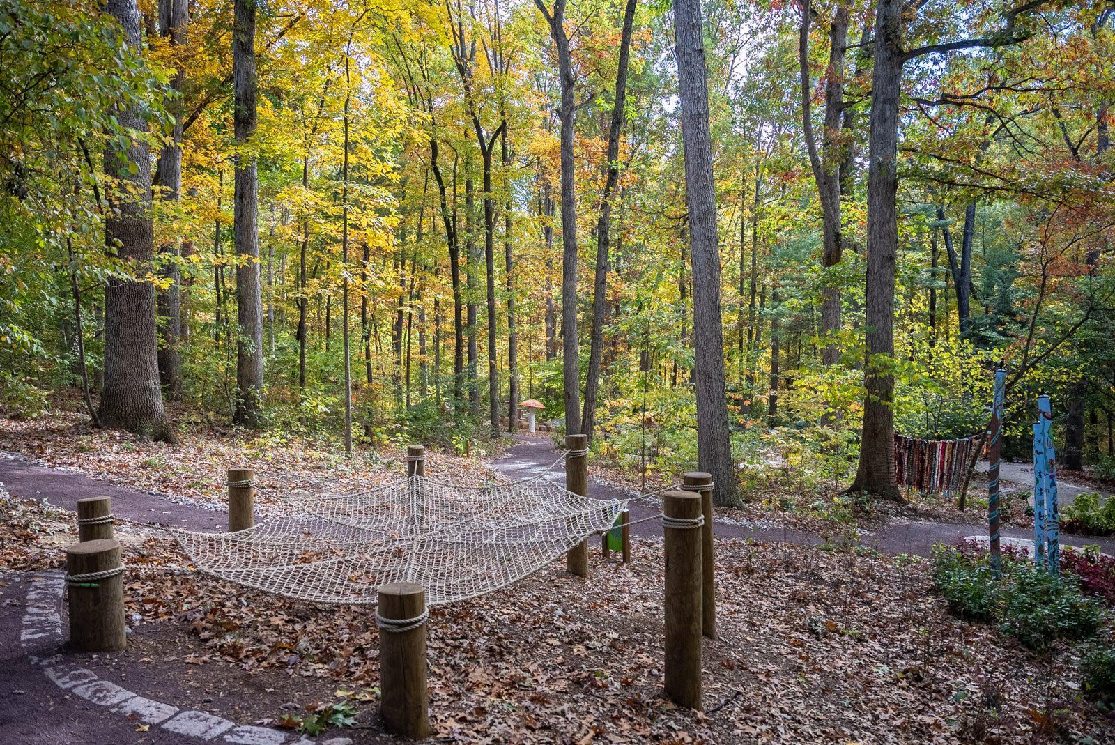 partners-excavating-jmu-arboretum-harrisonburg-va-site-preparation-1007.jpg