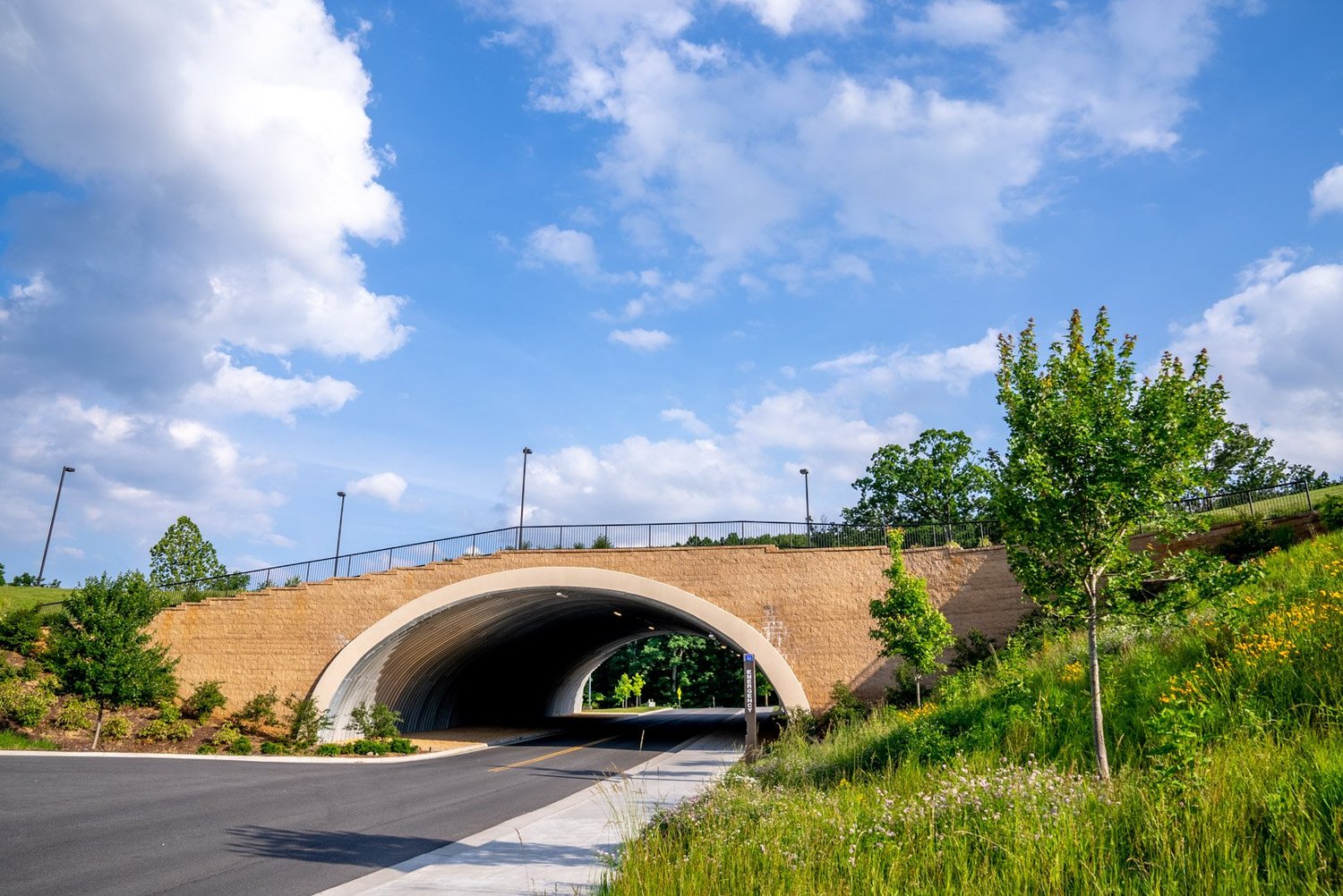 Asphalt paving services in page county va jmu land bridge ground