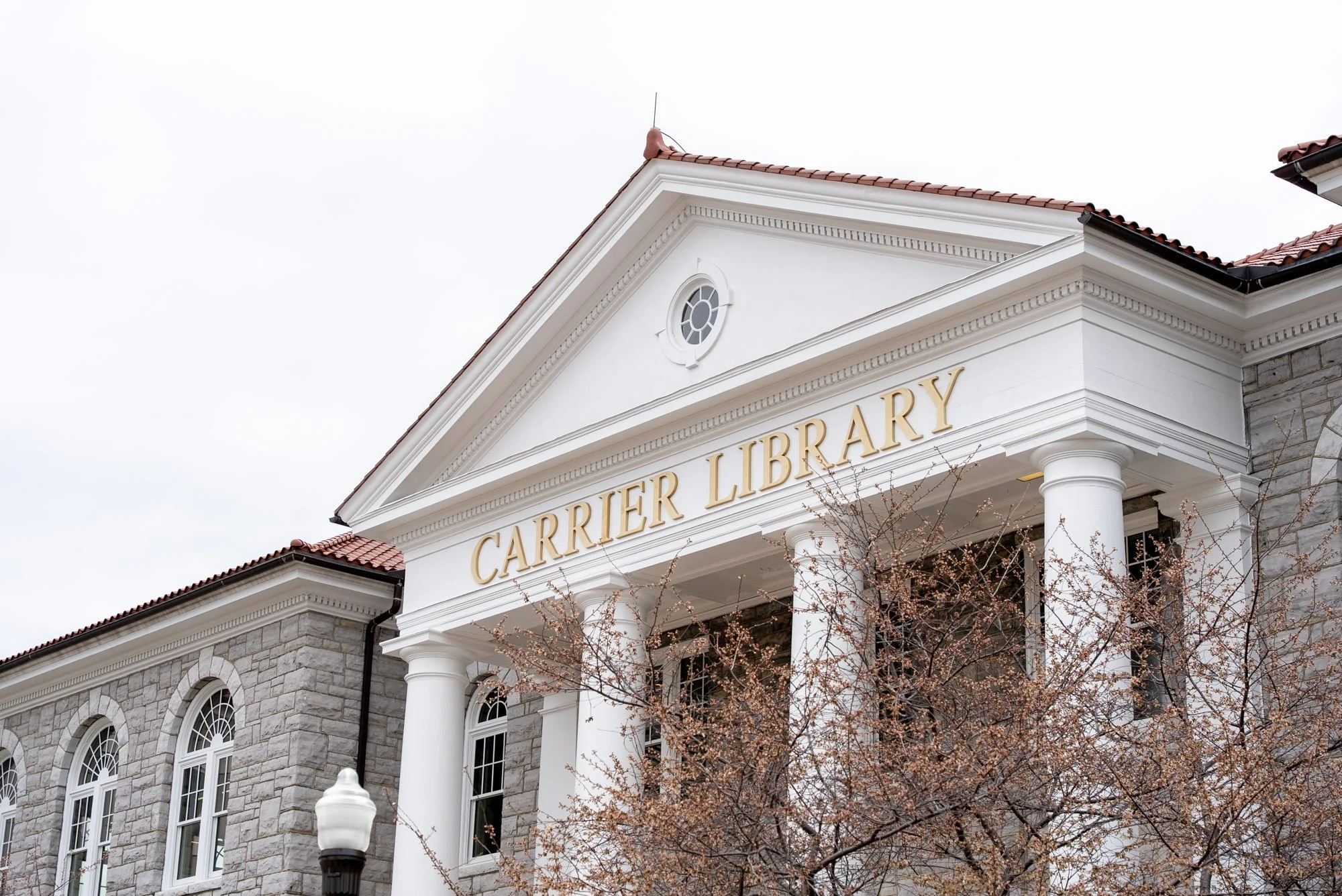 Carrier Library Completed - For Web-1067.jpg