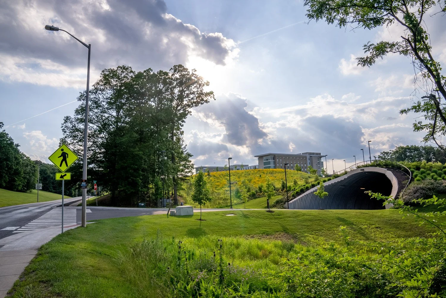 Asphalt companies in augusta county va jmu land bridge ground