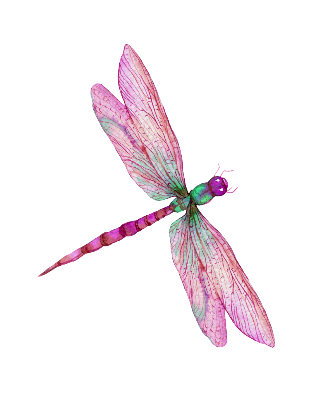 Untitled design 11.png