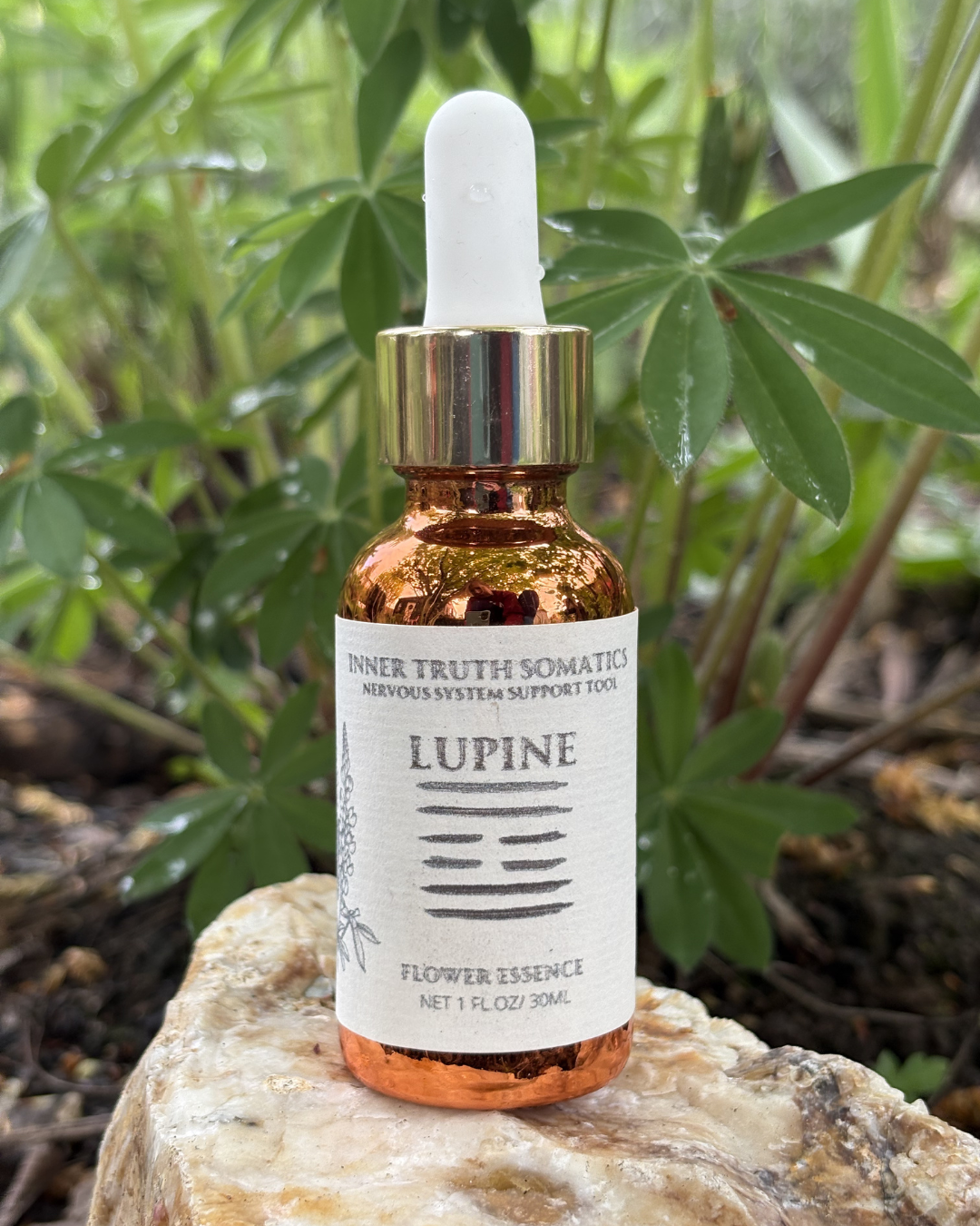 Untitled design (9).png