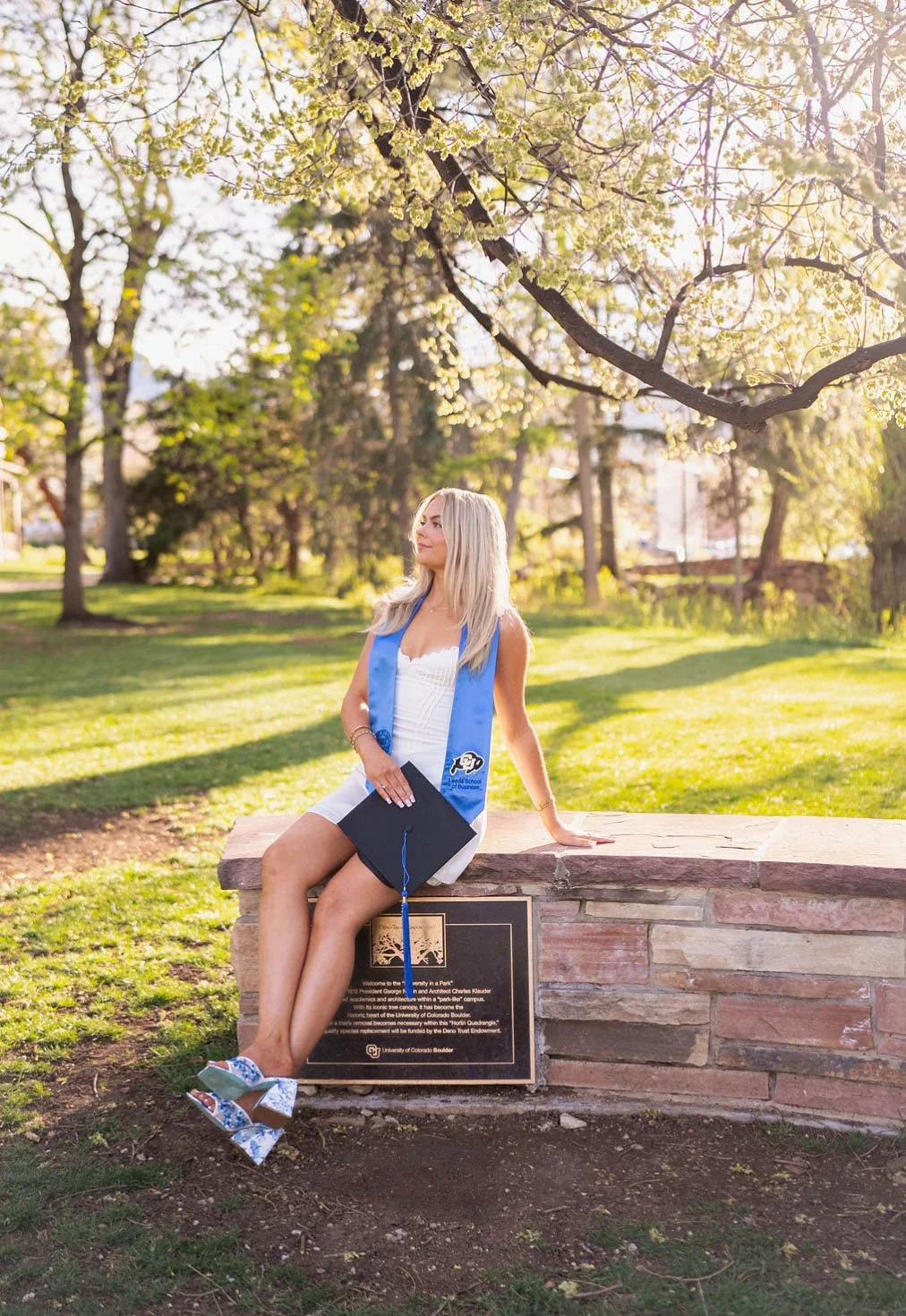 Screenshot 2026-03-15 at 5.13.47 PM.jpg