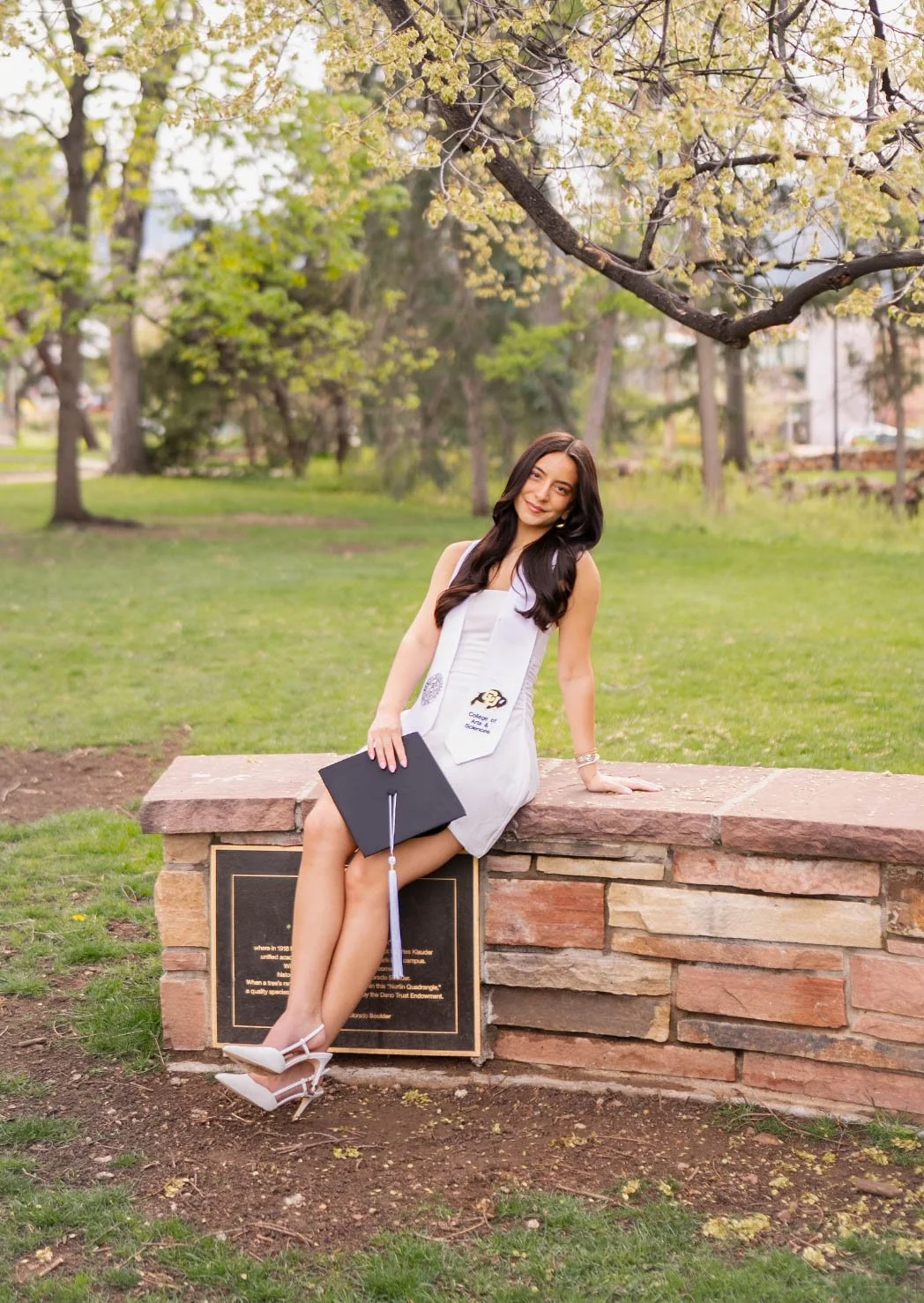 Screenshot 2026-03-15 at 5.11.04 PM.jpg