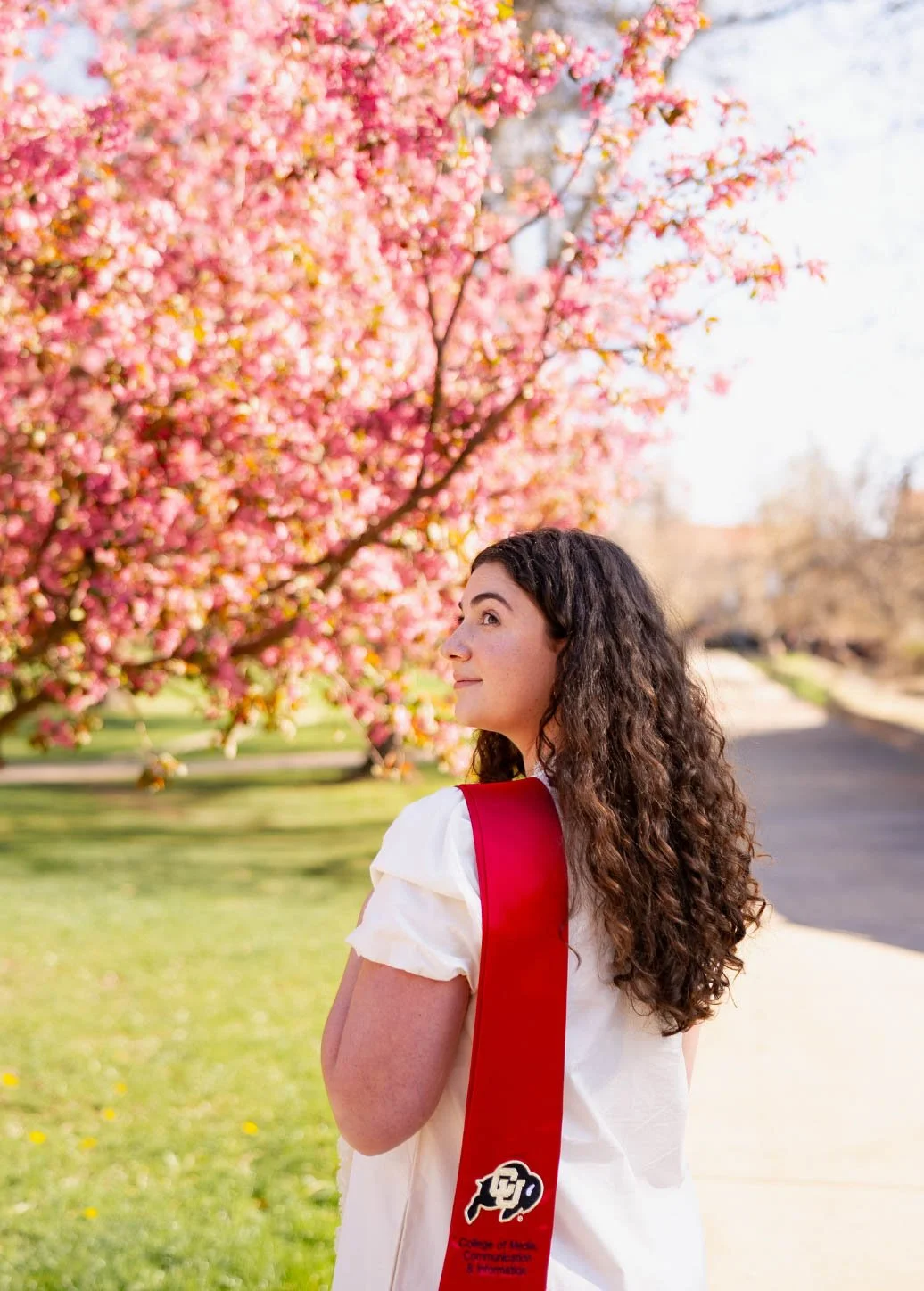 Screenshot 2026-03-15 at 5.16.57 PM.jpg