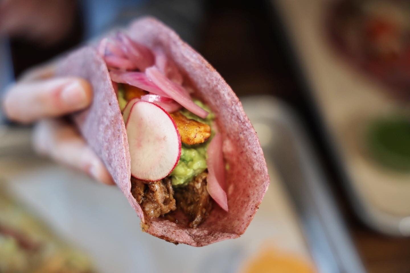 Conchita Pibil Taco