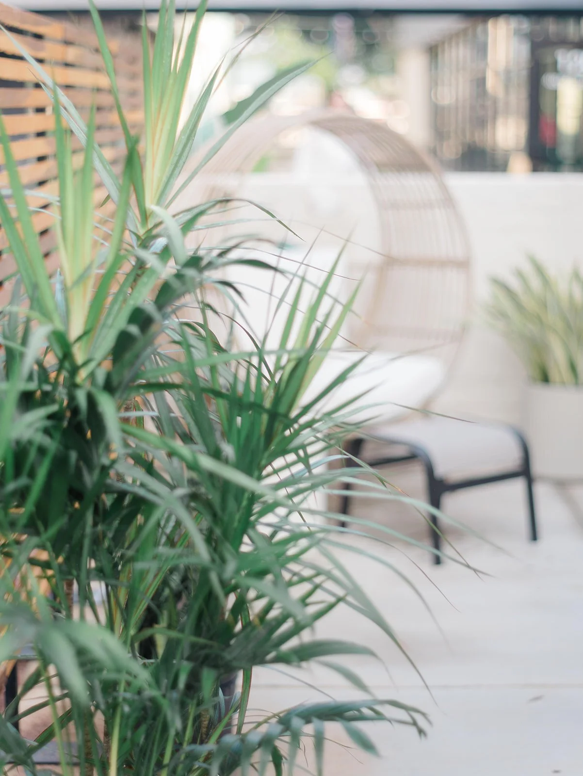 Mood House patio.jpg