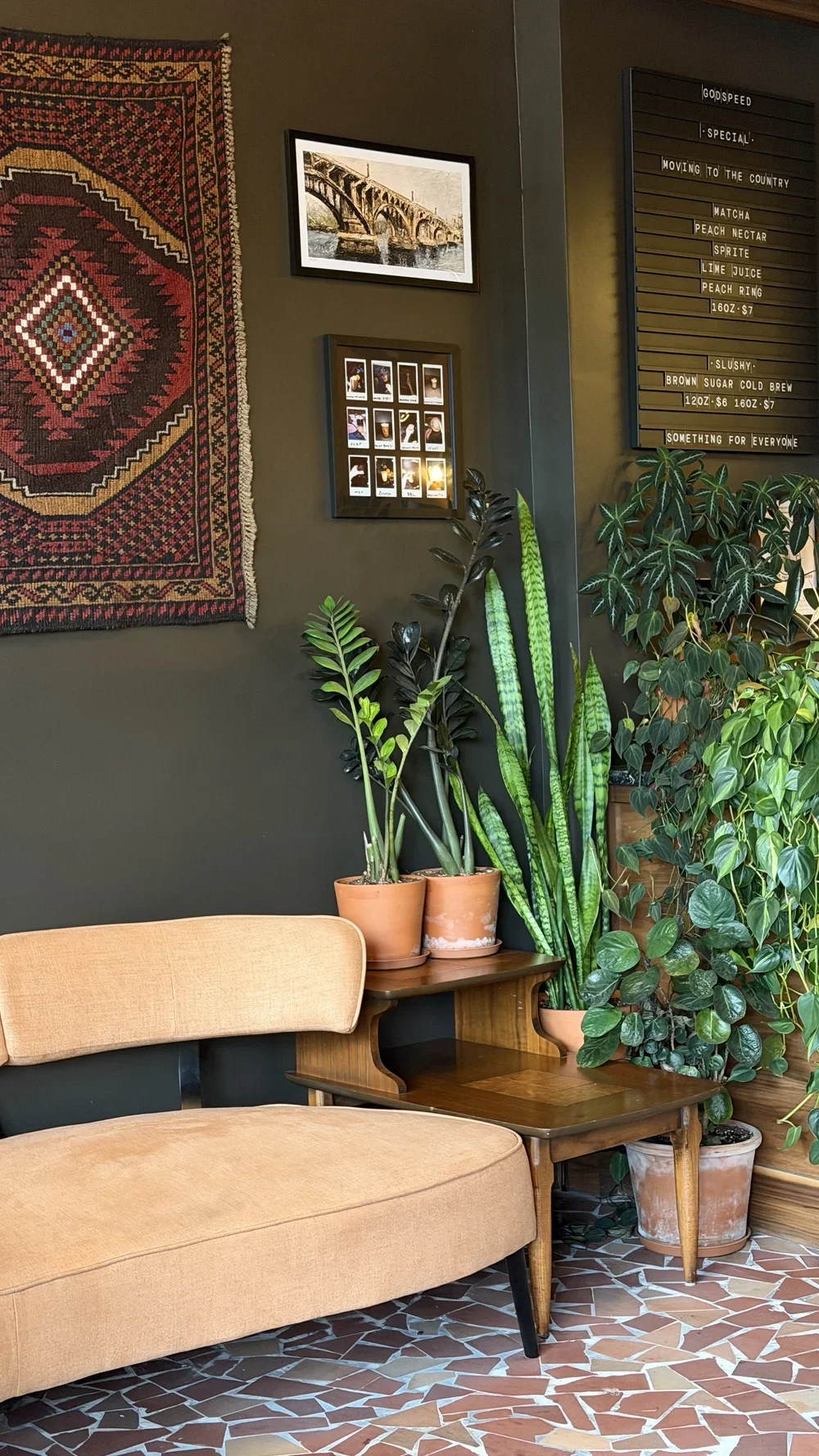 Cozy seating nook with plants and vintage decor at Godspeed Coffee in Columbia