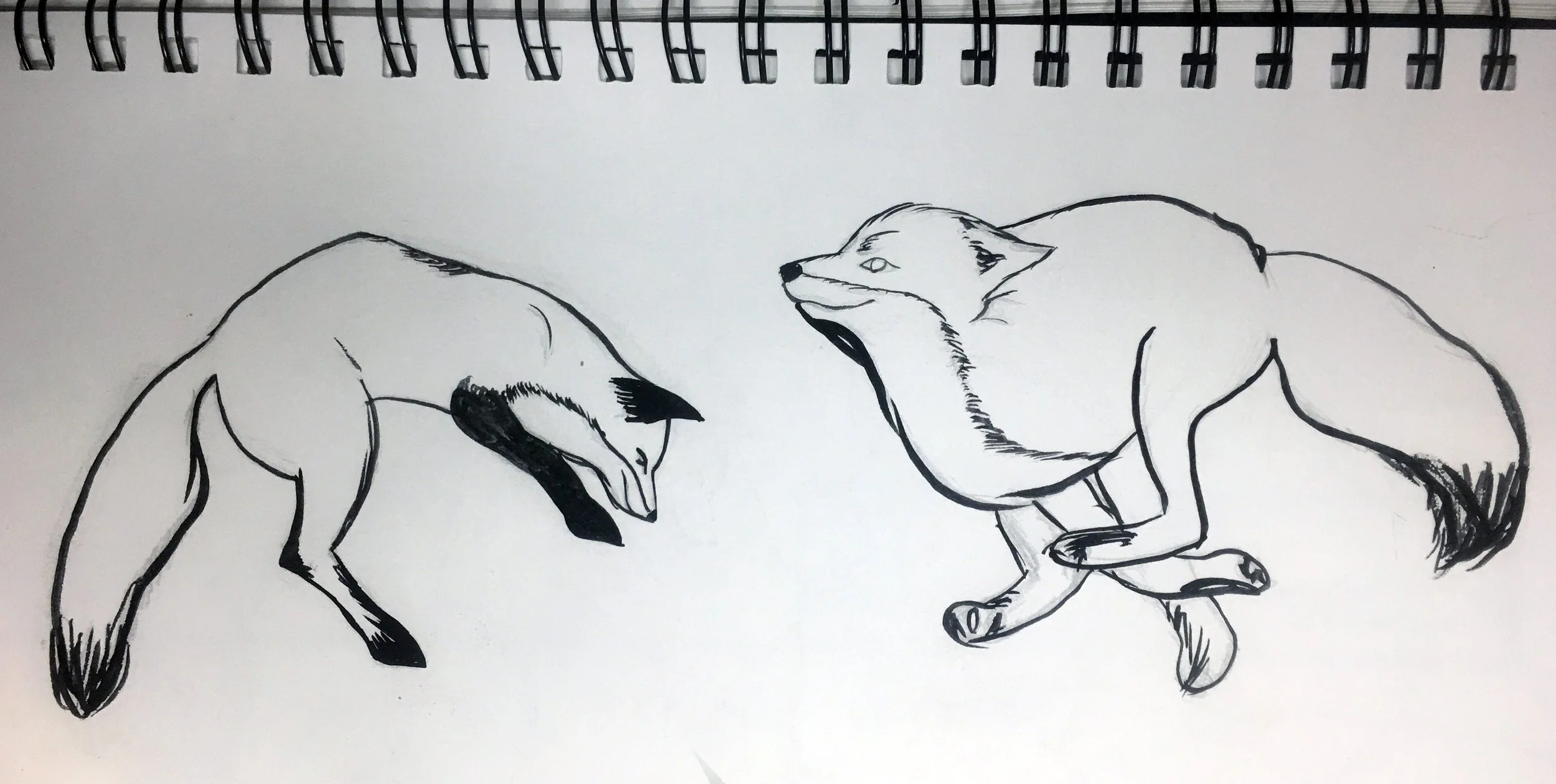 Nature Sketches 2.JPG