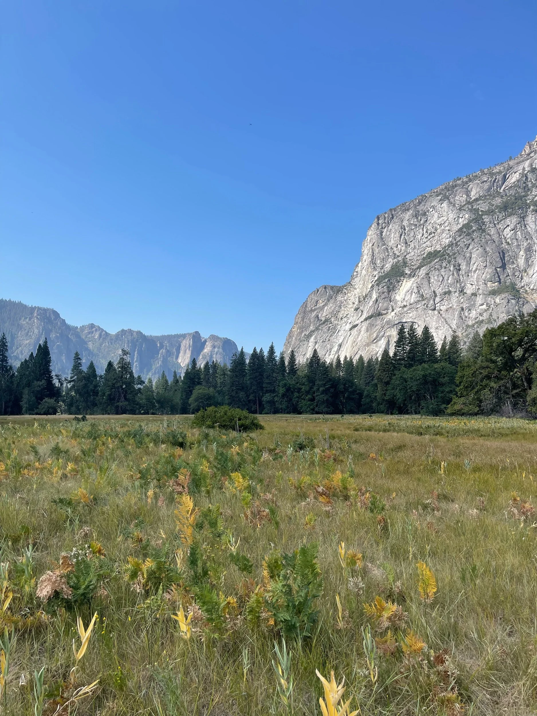 yosemite-national-park.jpeg