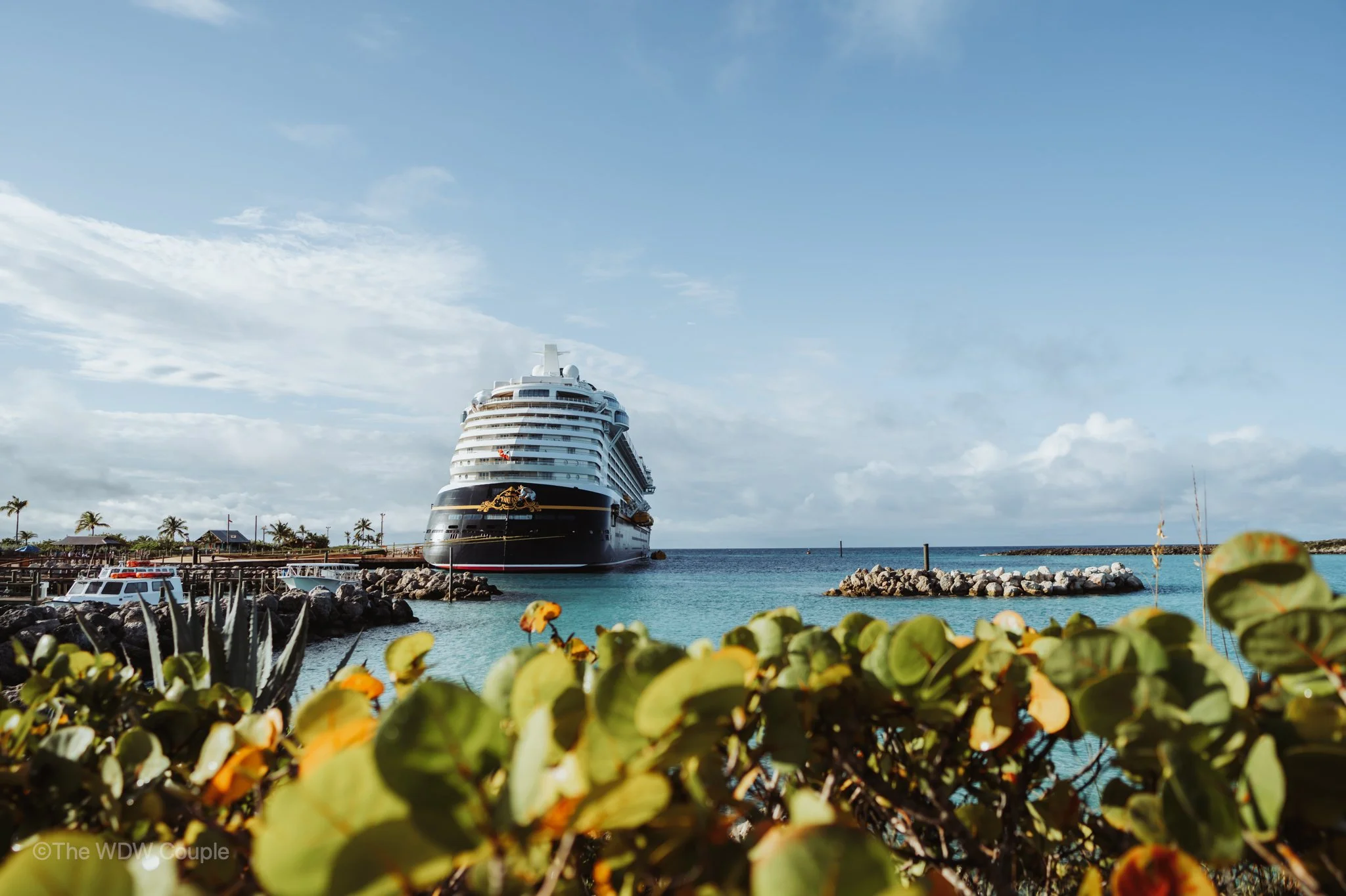 A large cruise ship docked at a marina with clear blue sky and calm water. Plants in the foreground, rocky breakwater and palm trees in the background.