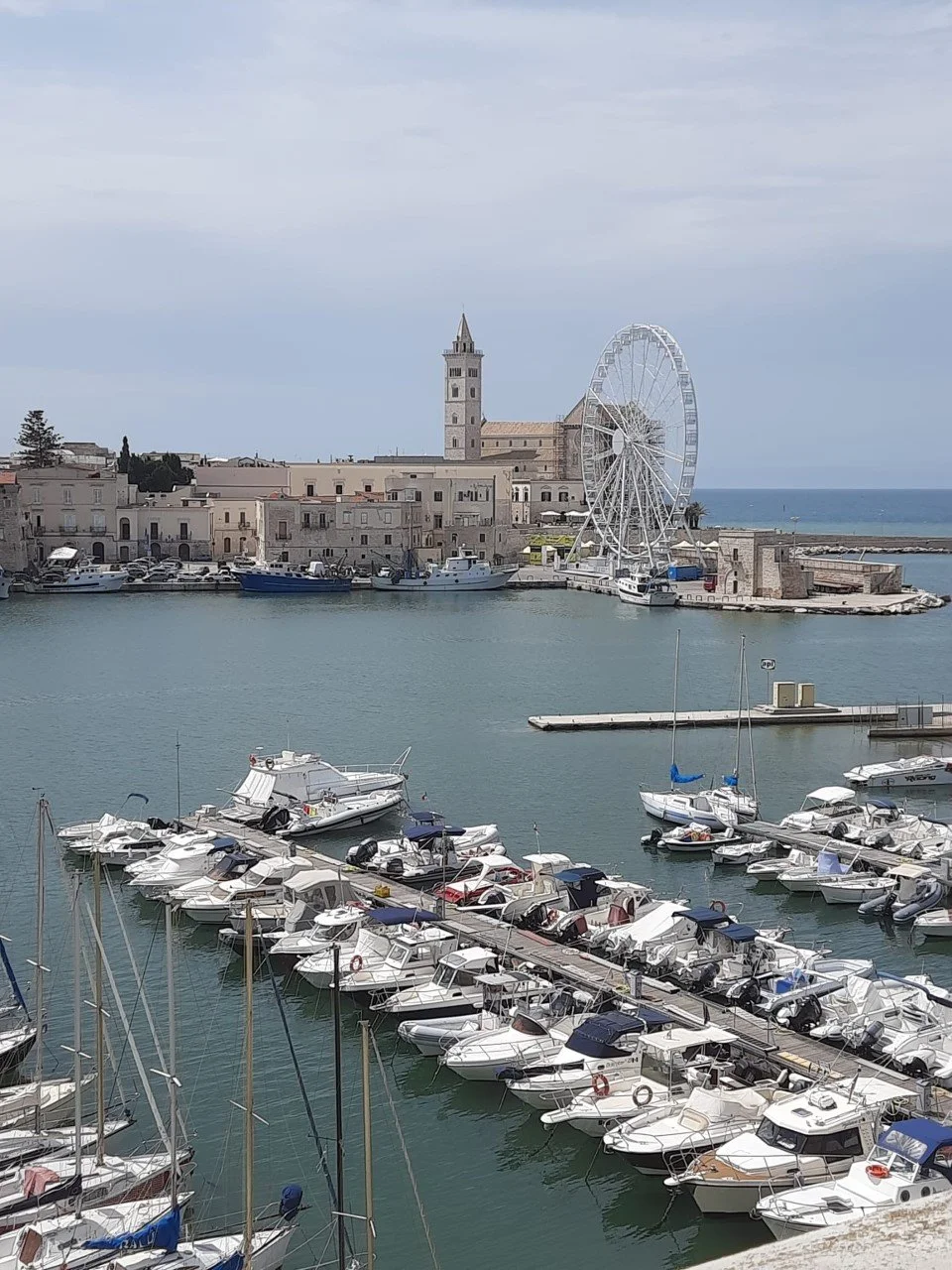 Trani: jewel of the Adriatic in Puglia