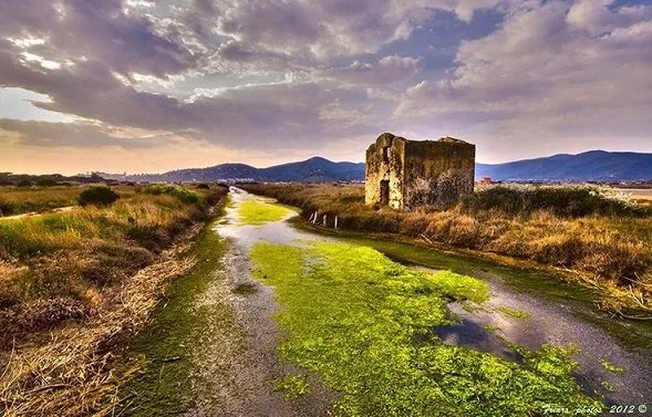 Maremma countryside, Tuscany