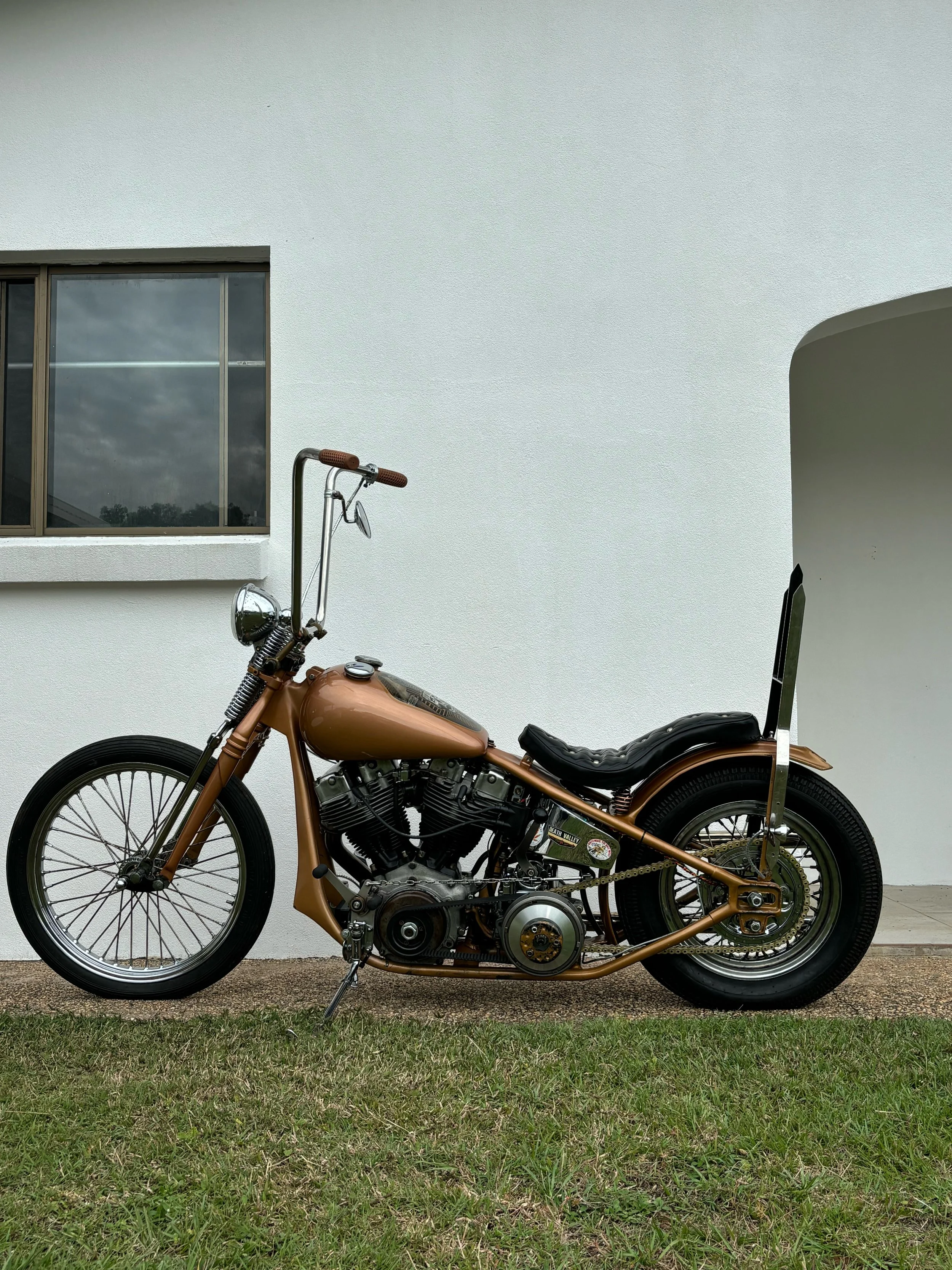 7# paddycatnaps tattoo.jpeg