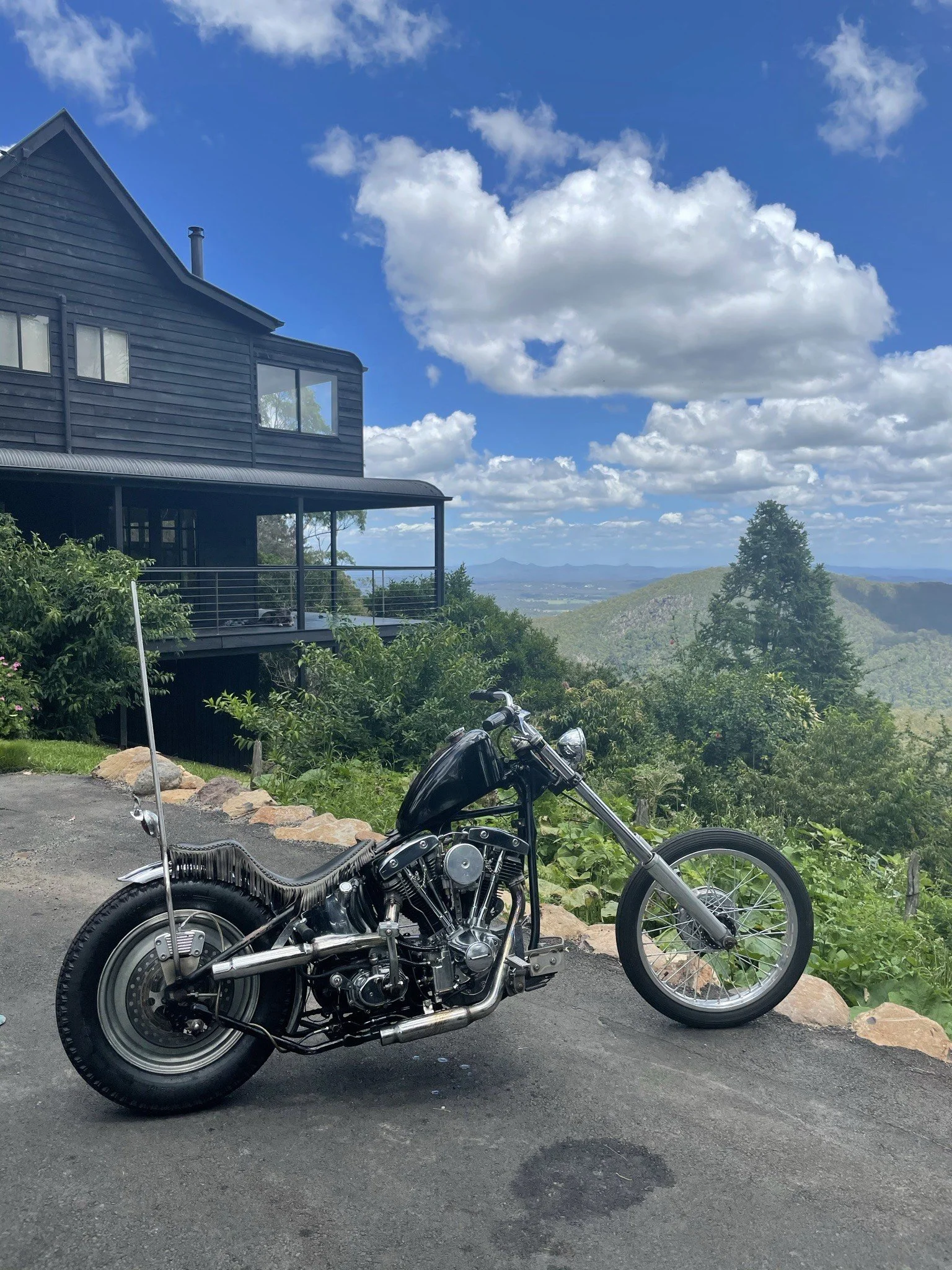 4# mel wonder  violet 1974 cone shovel.JPG