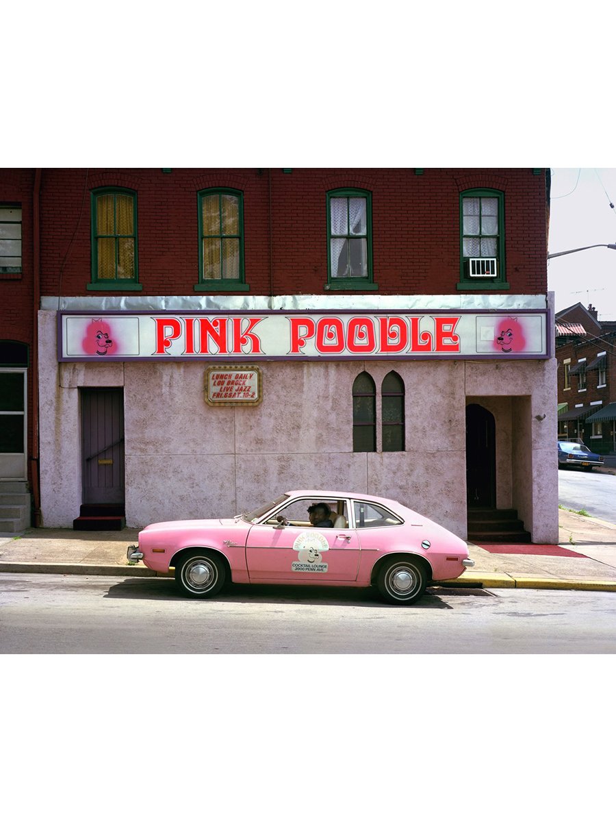 57 PinkPoodle___Sizes-36x44-20x24-16x20-(Edition5)-8x10(NoEdition).jpeg