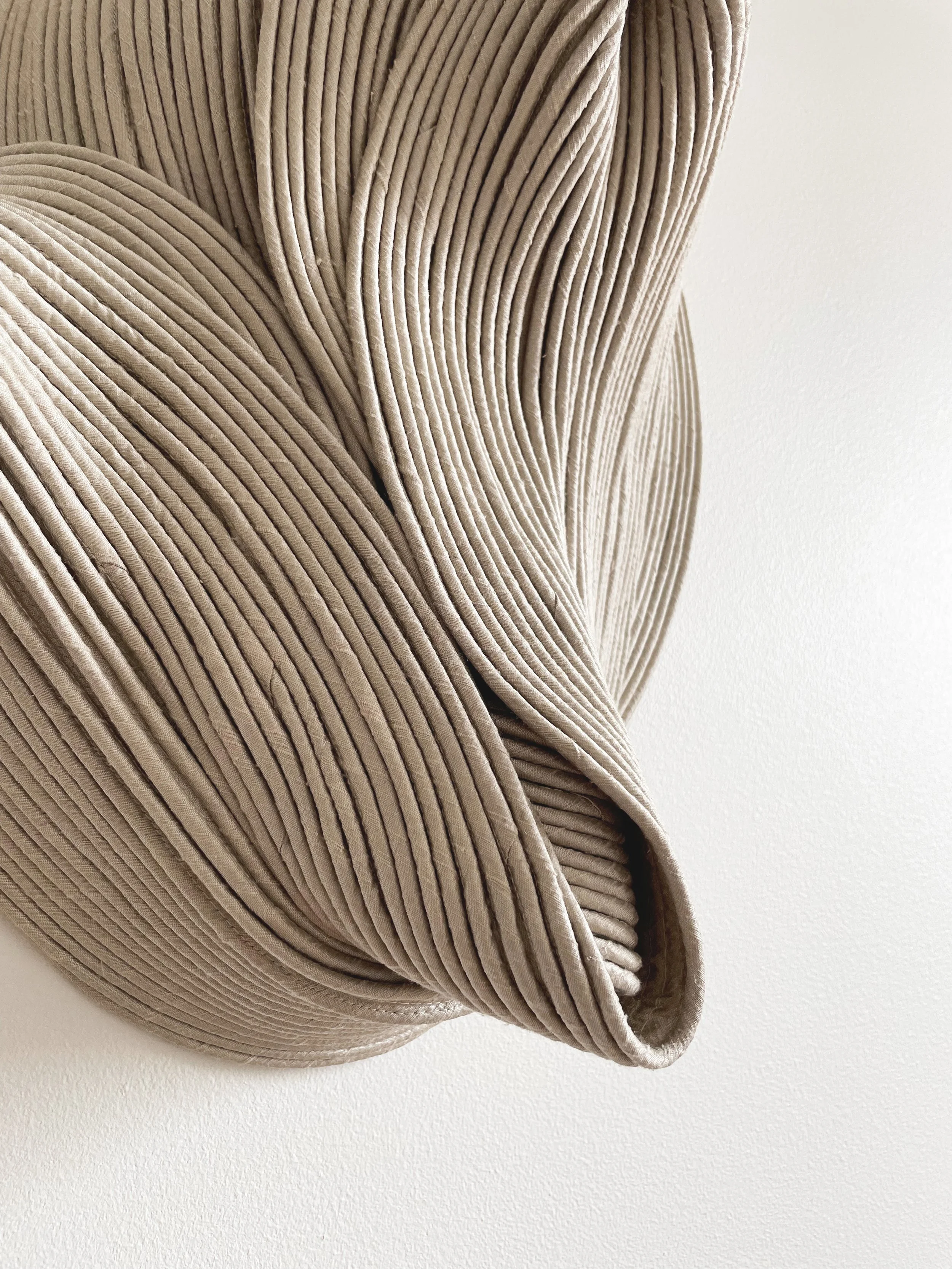 First snow close.jpg