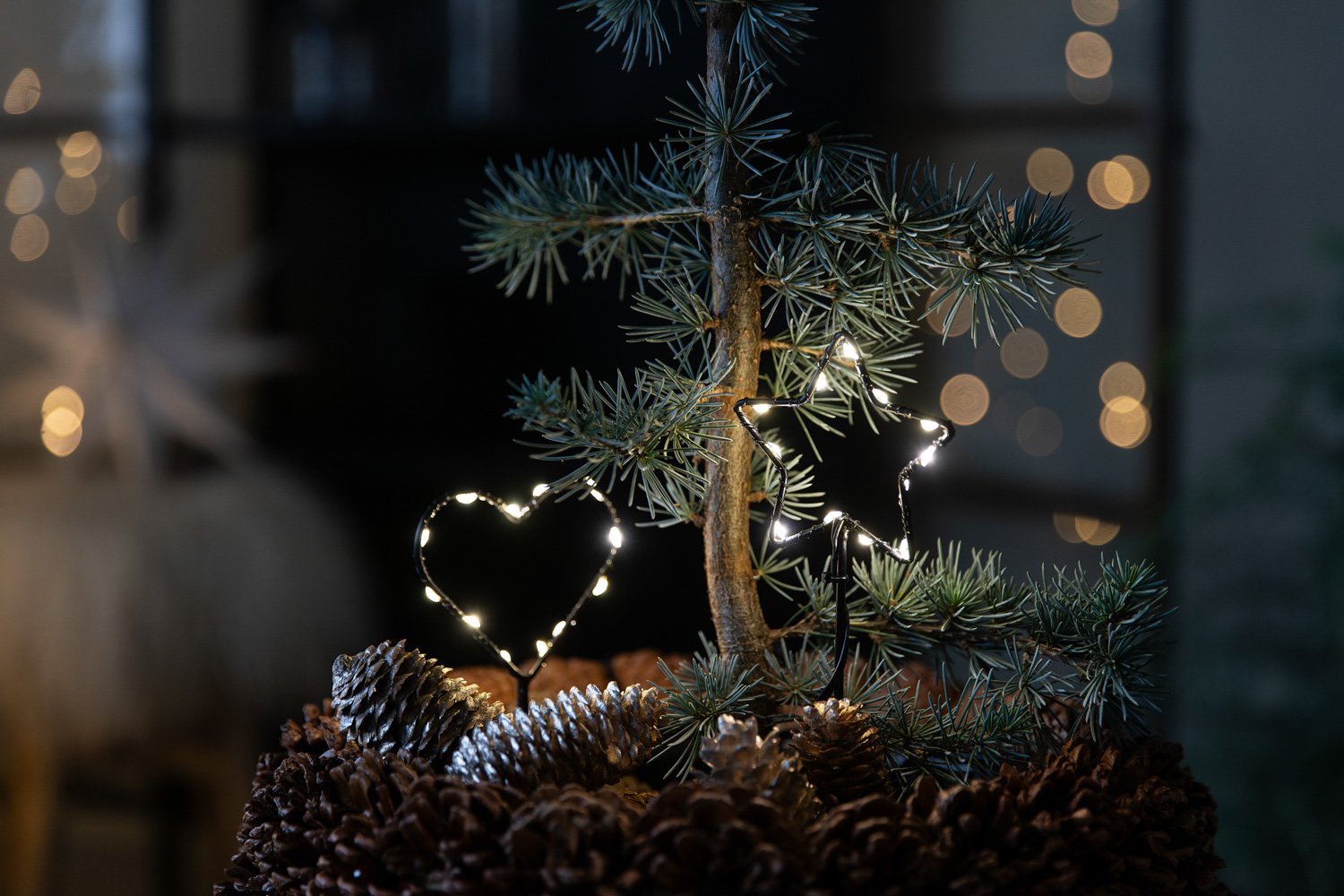 9_ Novent LED hjerte og stjerne.jpg