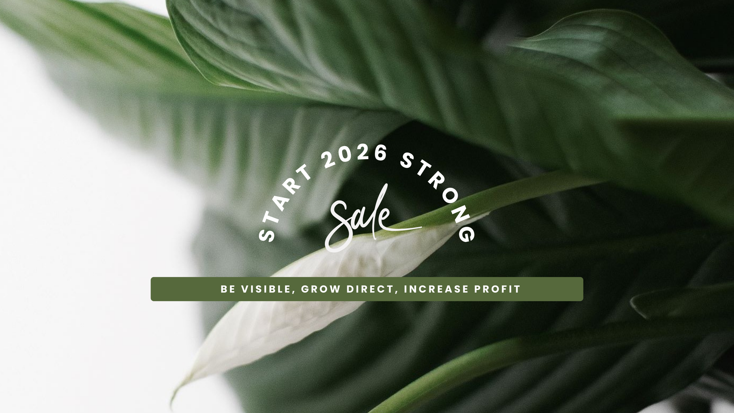 Start 2026 Strong – Be Visible, Grow Direct, Increase Profit&nbsp;