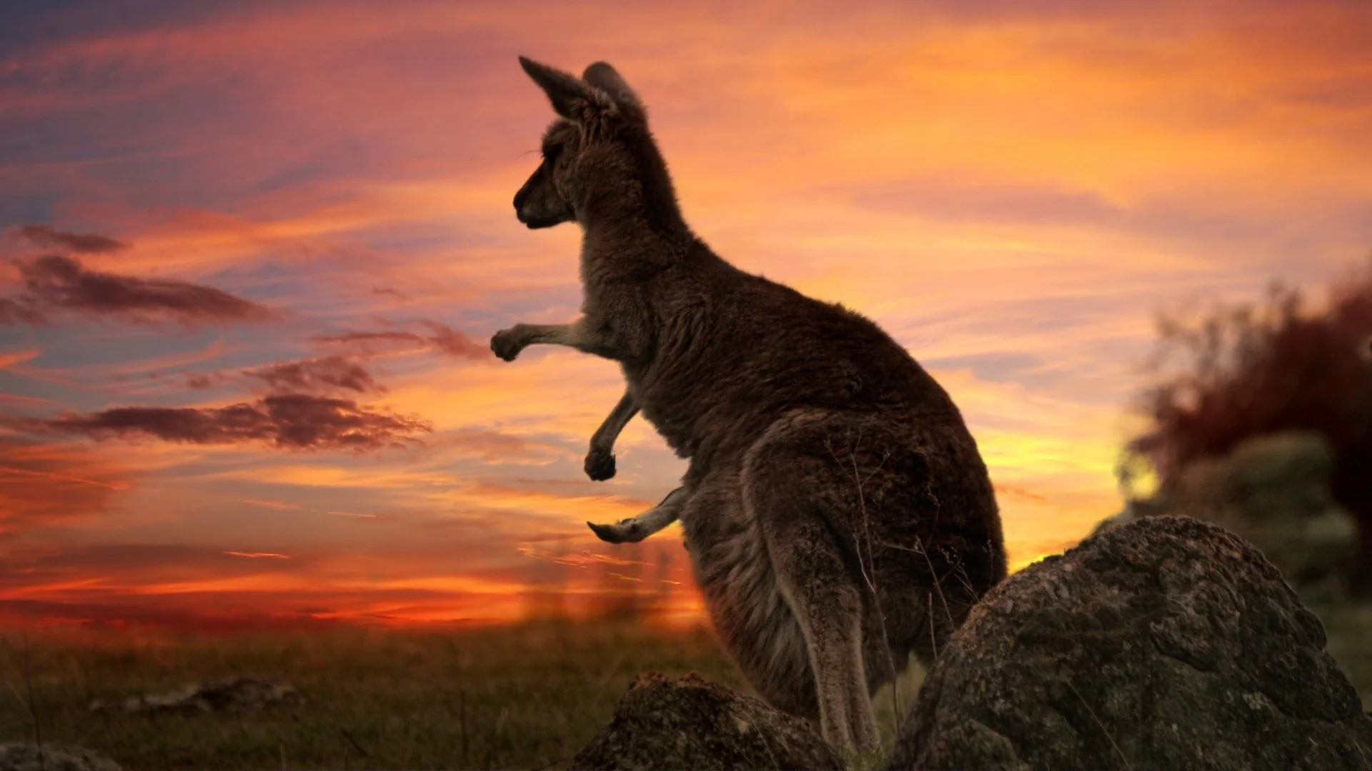 Tourism Australia AI Webinar Series: What it Means for Accommodation and Tourism Businesses