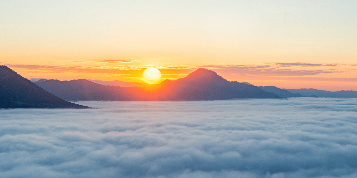 Premier Switch - Découverte Human Design.png