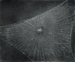 Vija Celmins Gruppe I