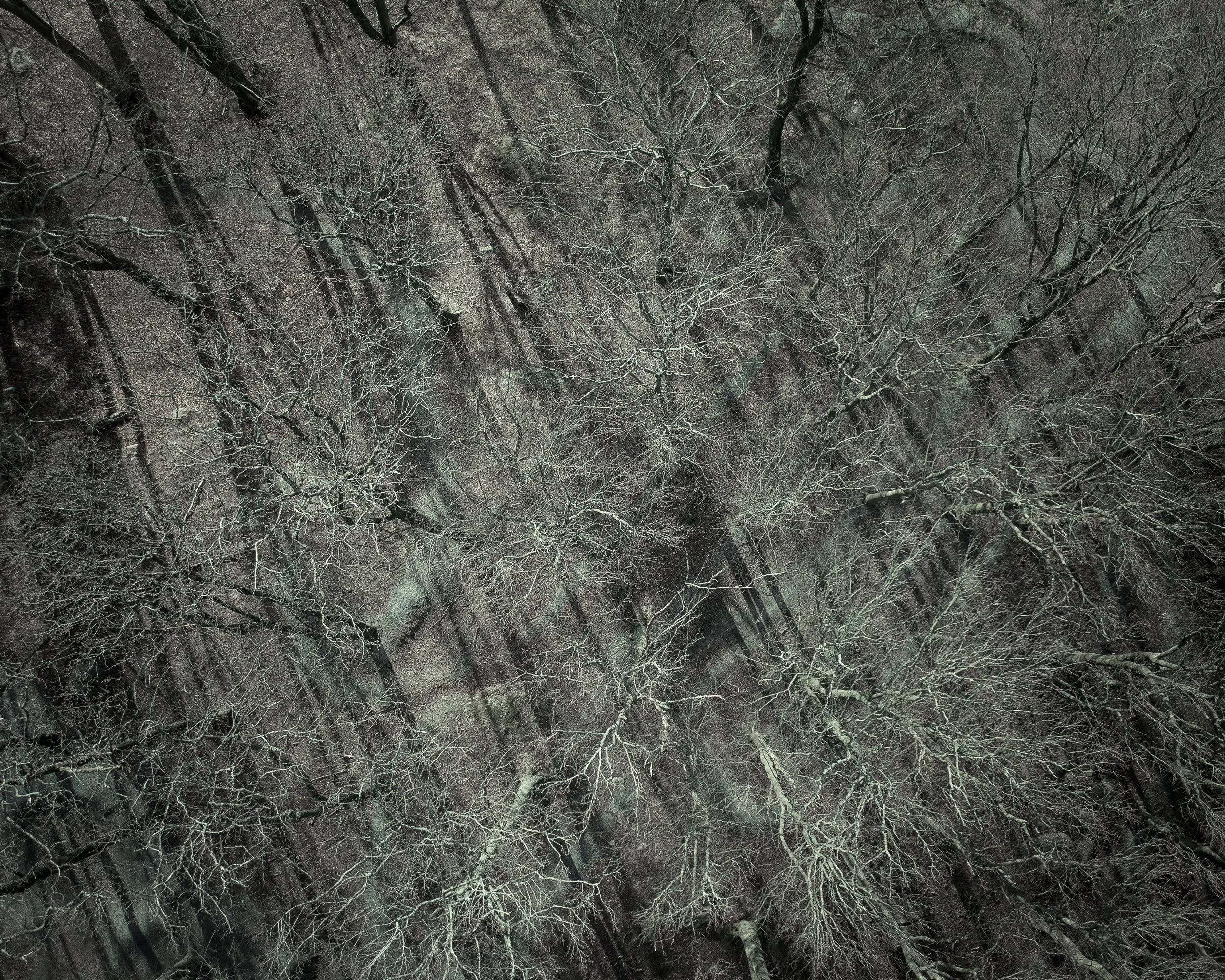DJI_0600.jpg