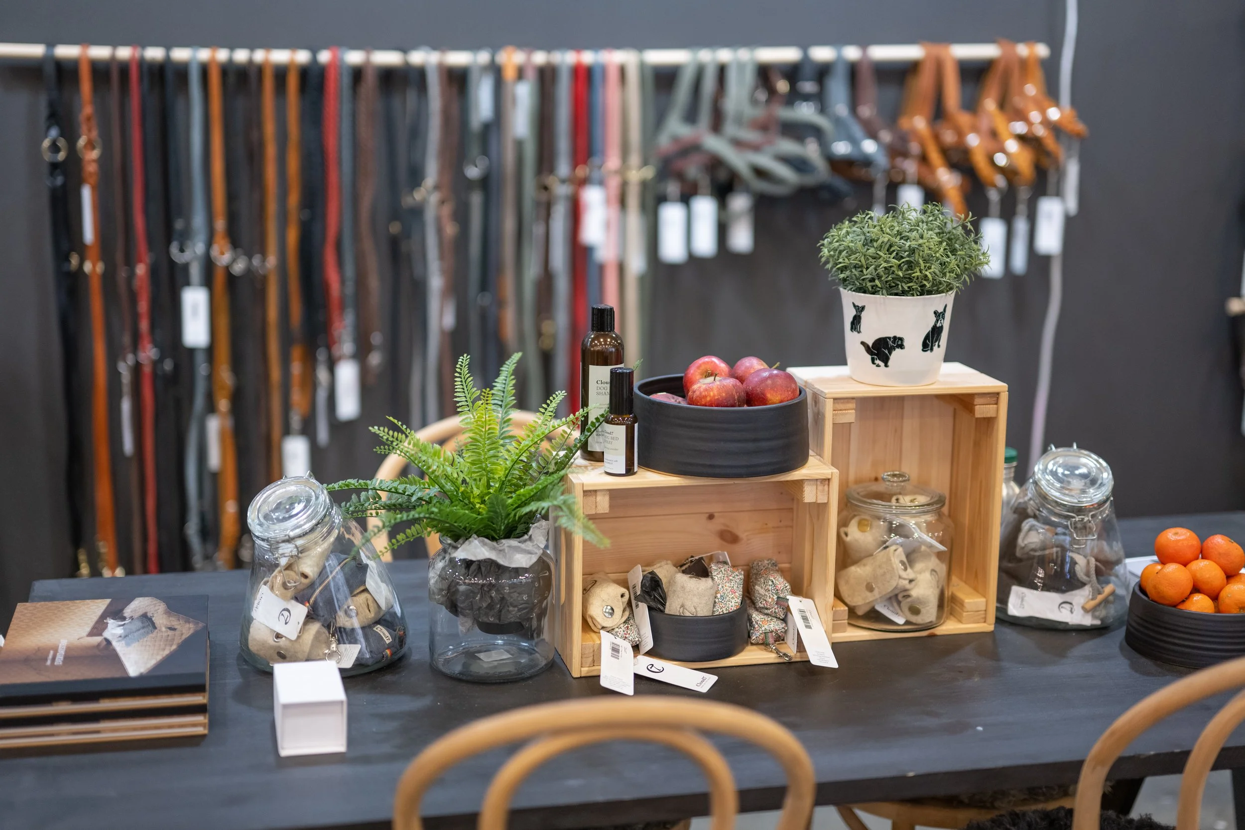DS7_6502.jpg