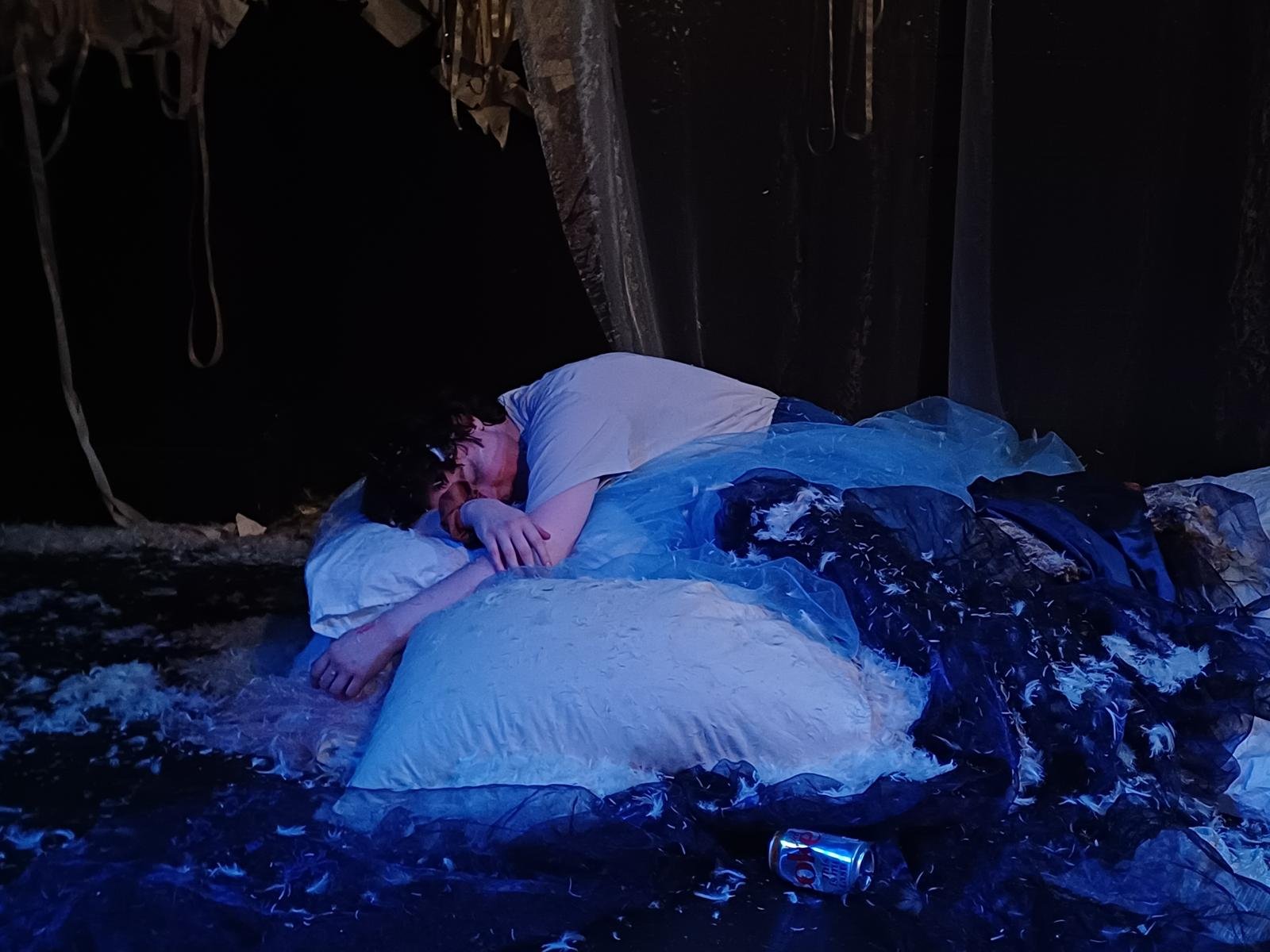 Swans.jpeg