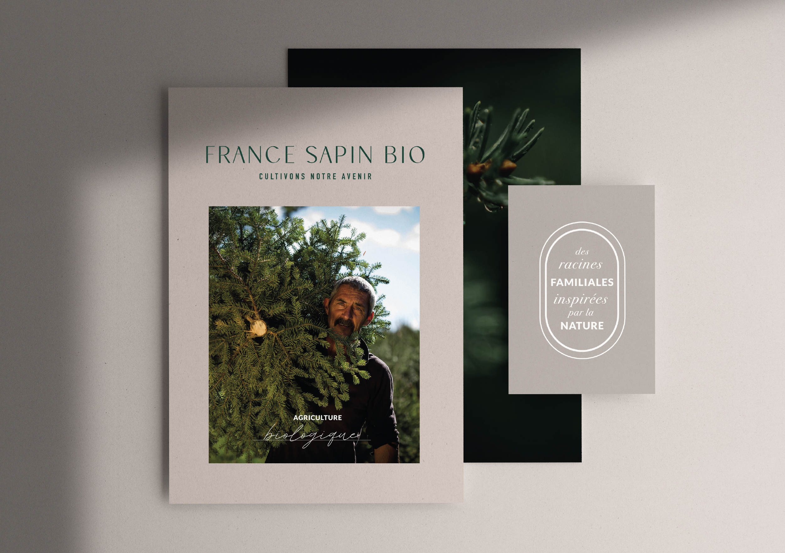 france sapin biocommunication visuelle.png
