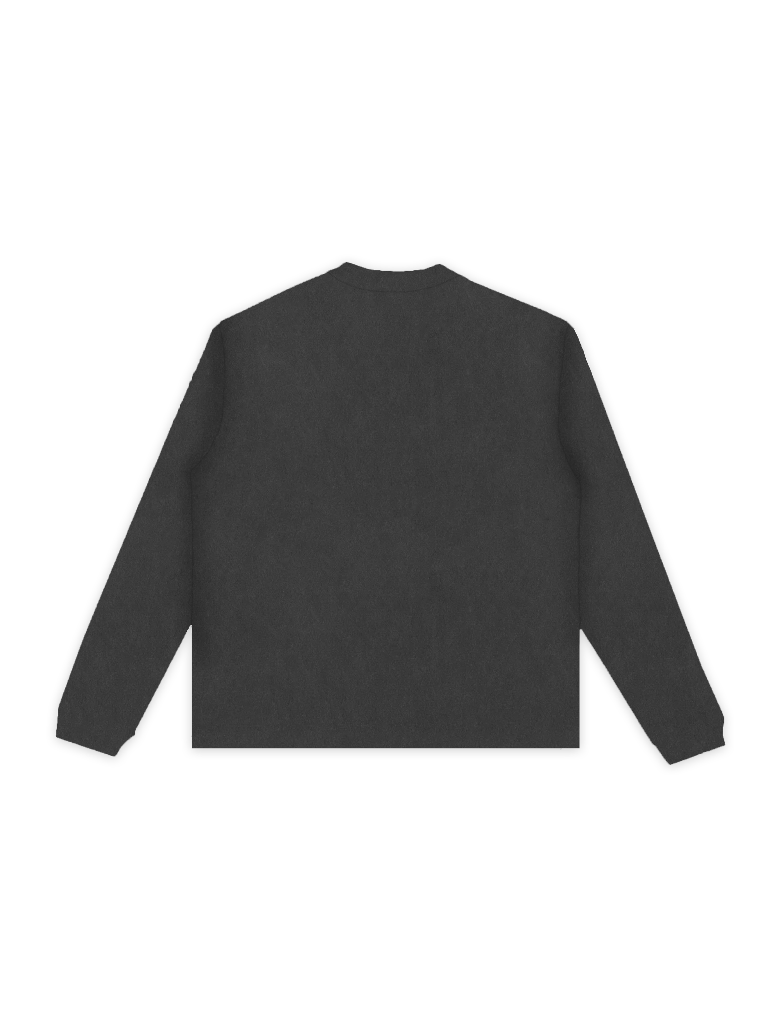 SMOKE GREY LS BACK.png