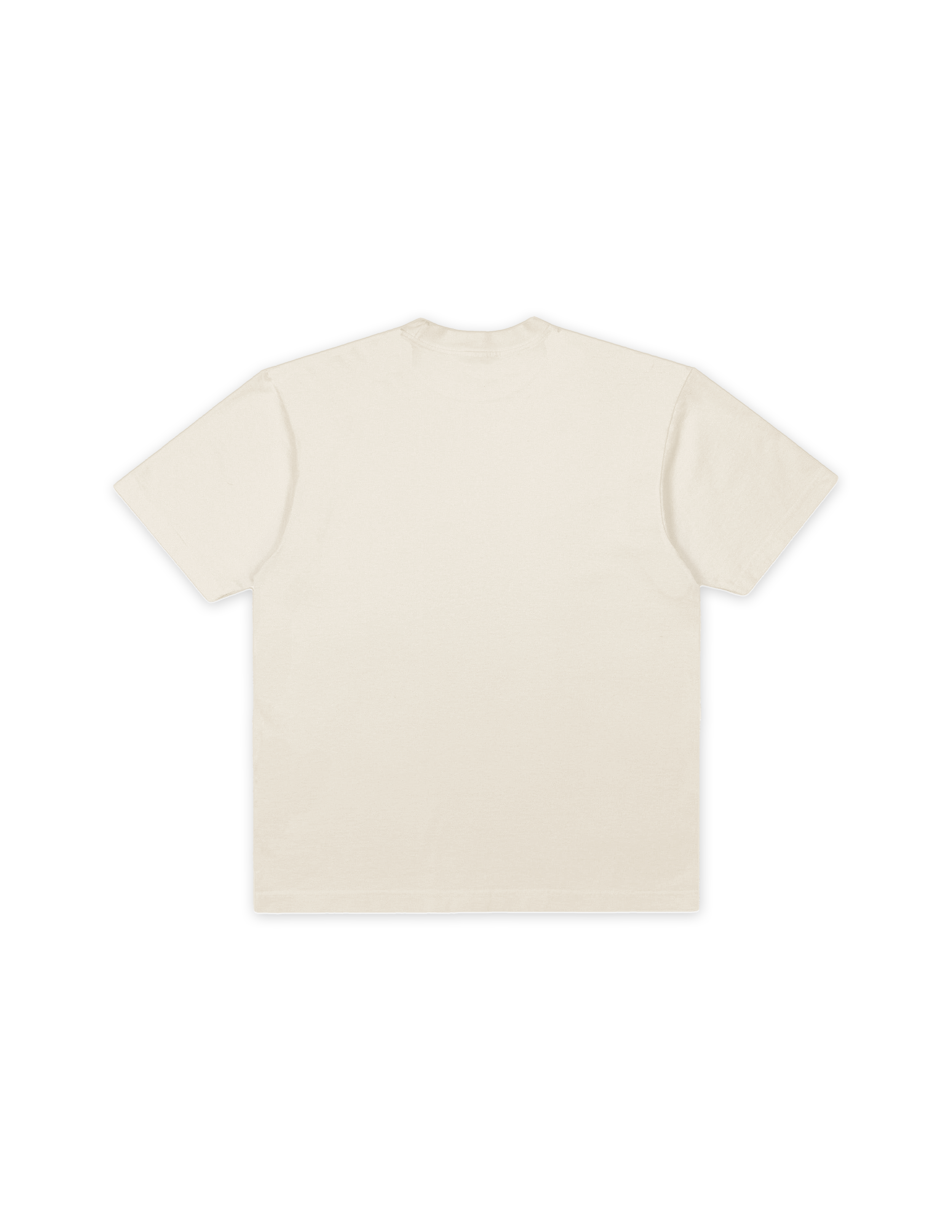 T-SHIRT BACK (BLANK).png