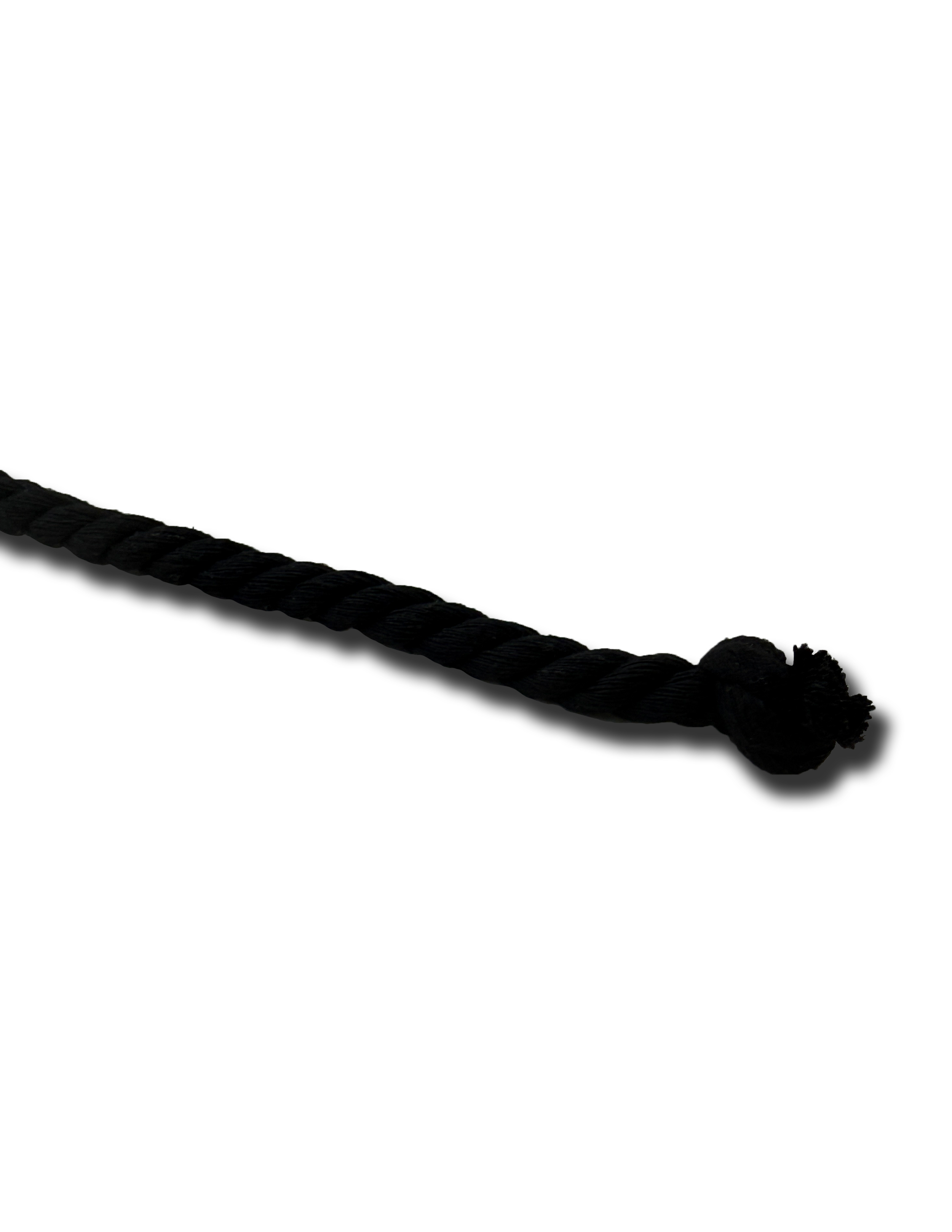 ROPE PHOTO.png