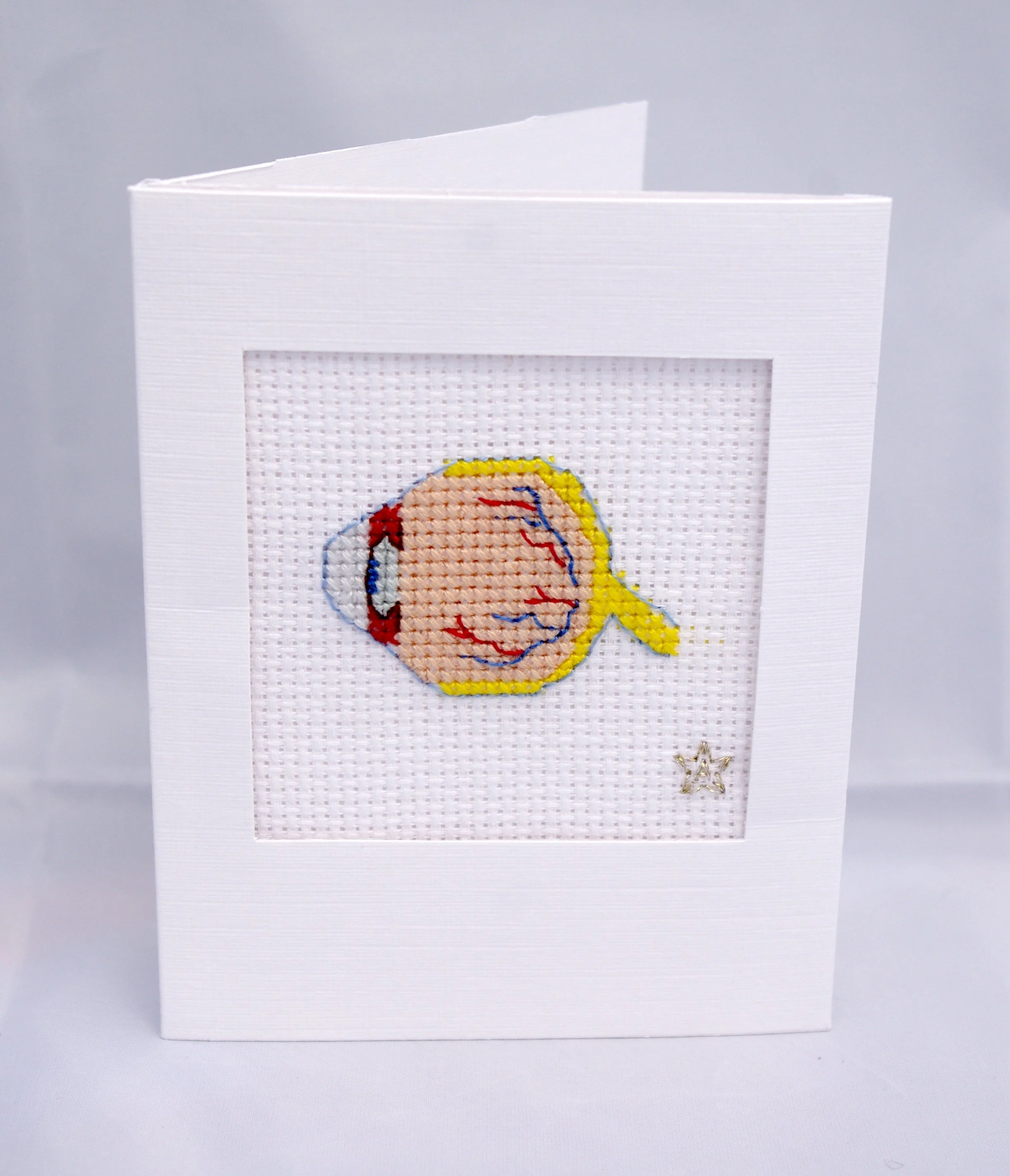 Eyeball anatomy cross stitch