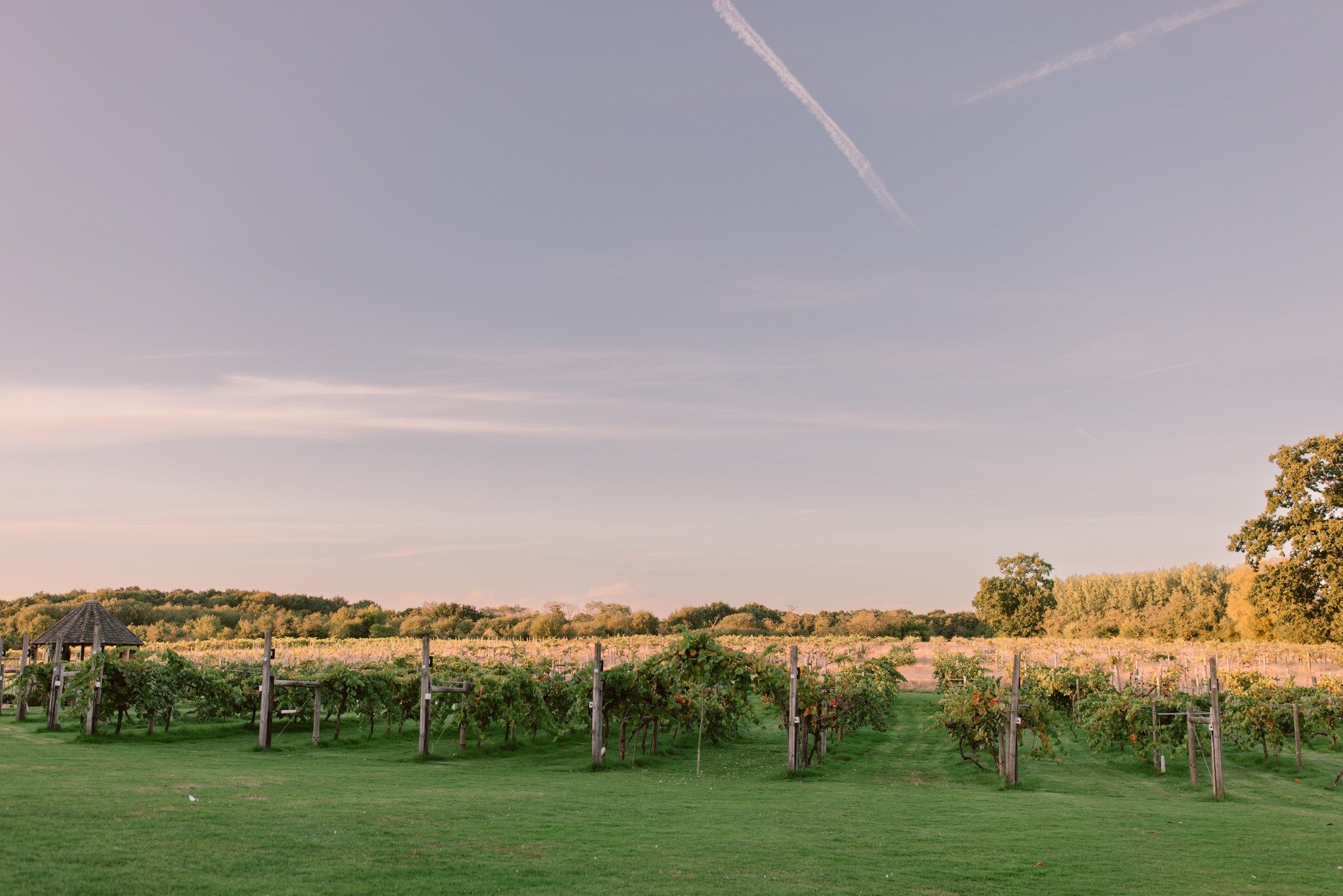 V I E W S ✨ Wickham Estate is not short of breath-taking views all around the grounds. With the main barn &amp; courtyard facing the stunning vines, you and your guests will be surrounded by unique views to make your day extra special. 

Photograph t