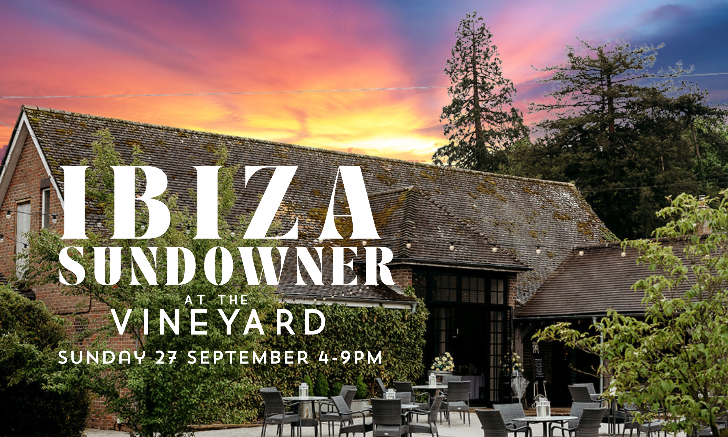Ibiza Sundowner at the vineyard
