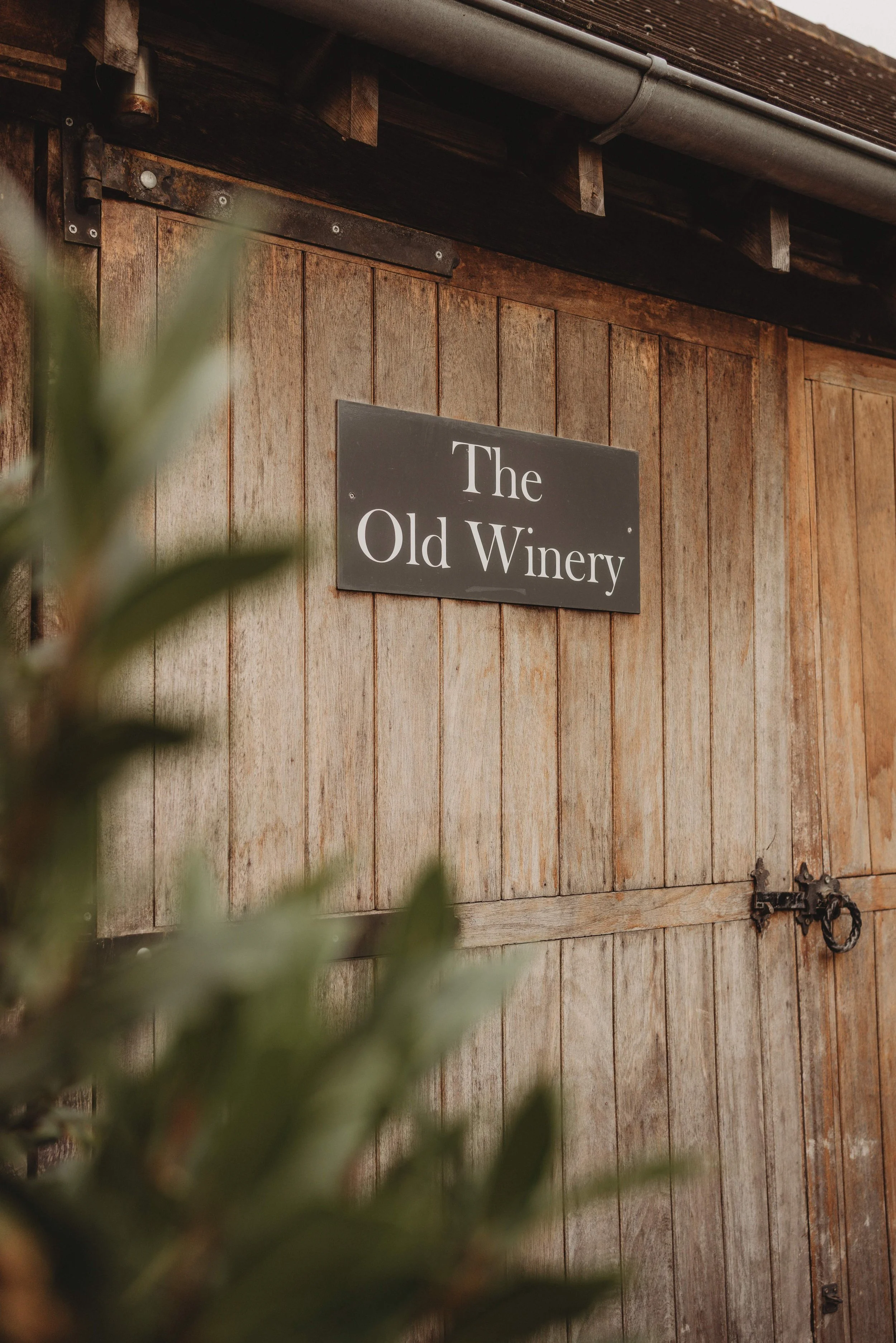 Wickham Estate- Moonflower Photography (5).jpg