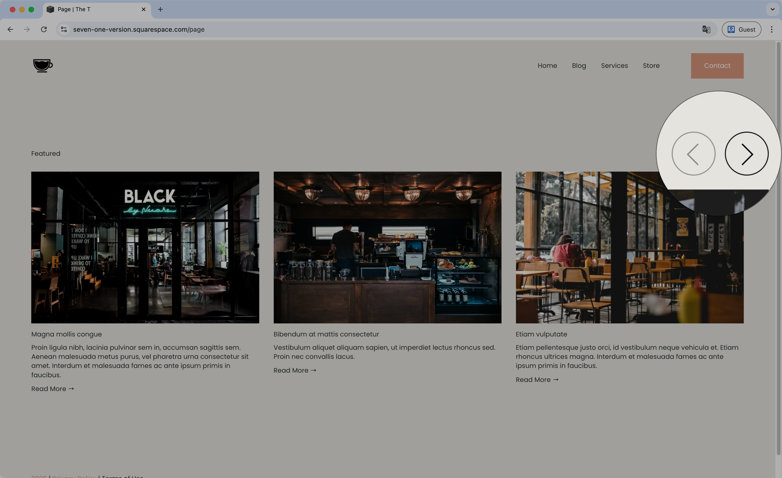 Styling the arrows - Summary Block Carousel