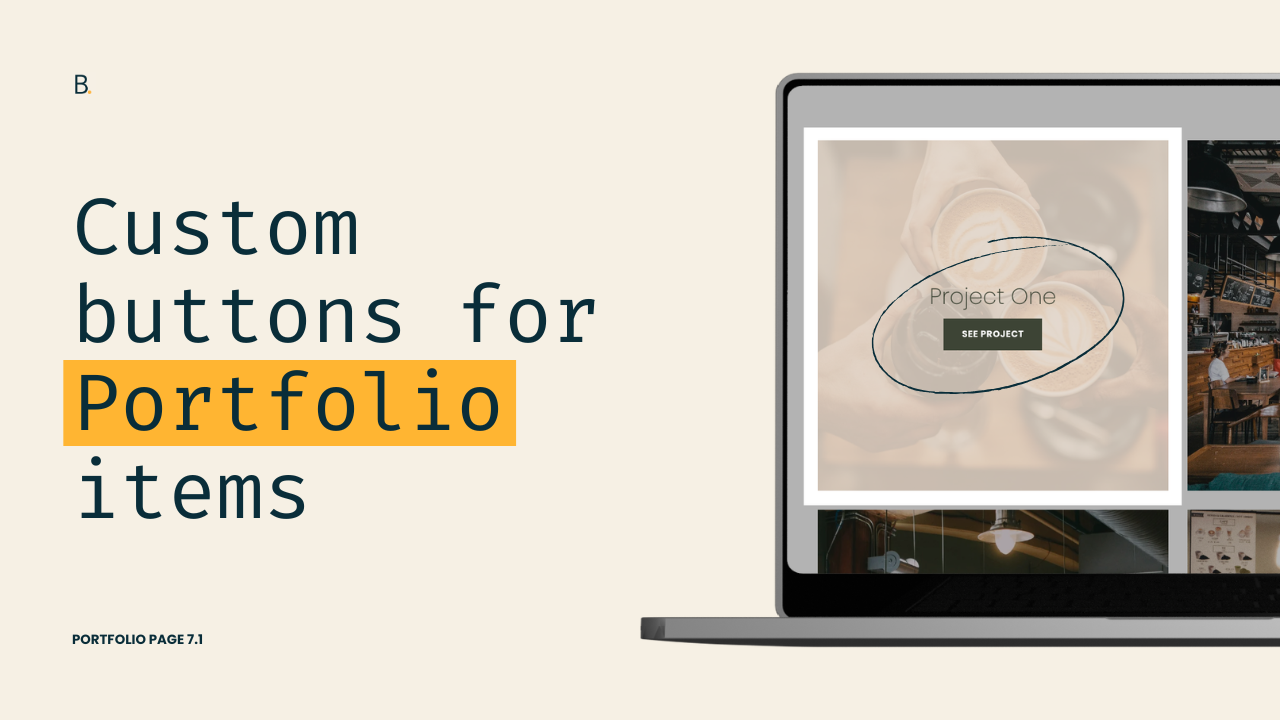 Custom button for Portfolio items in Squarespace 7.1