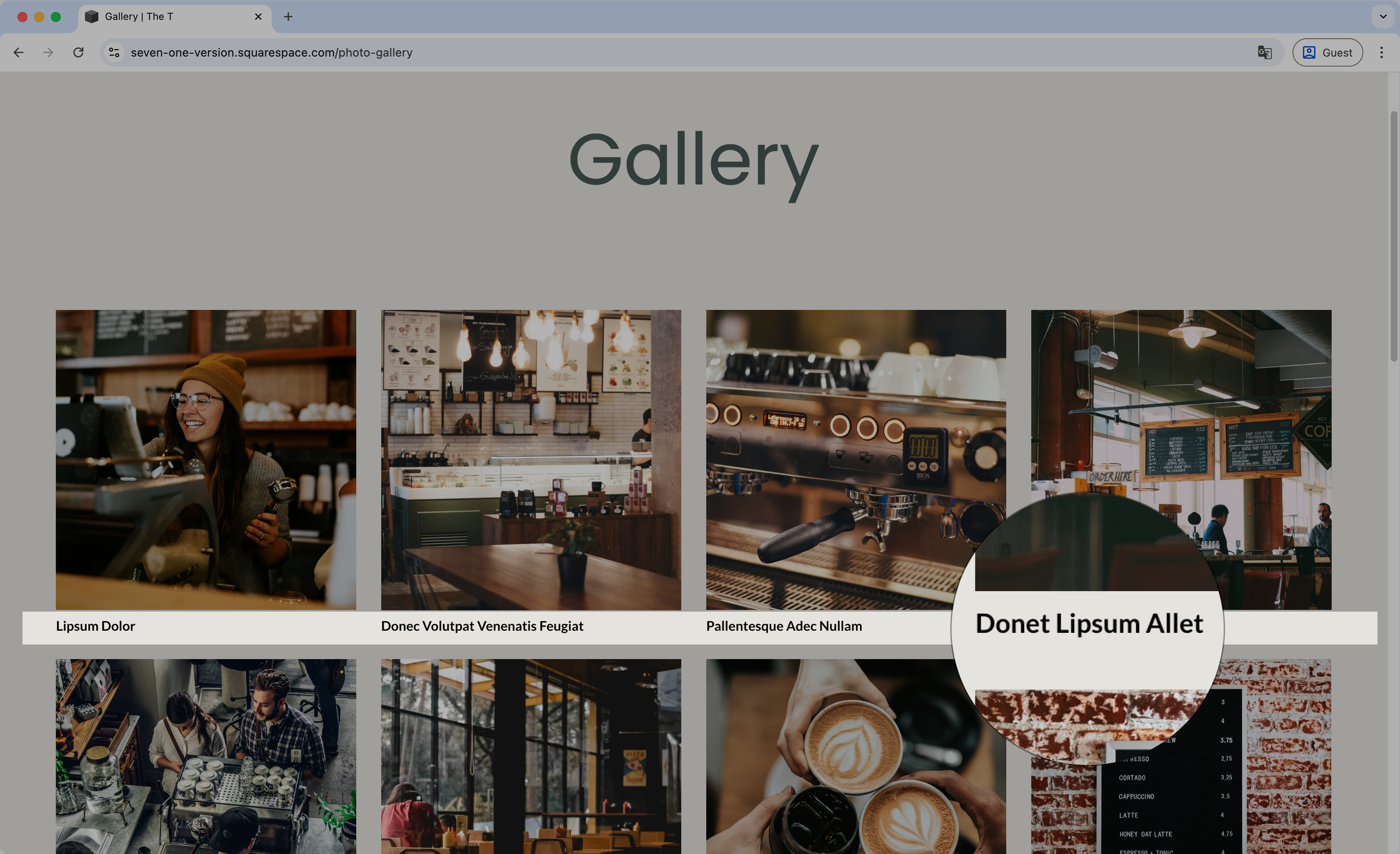Basic caption styles - Gallery Block Grid