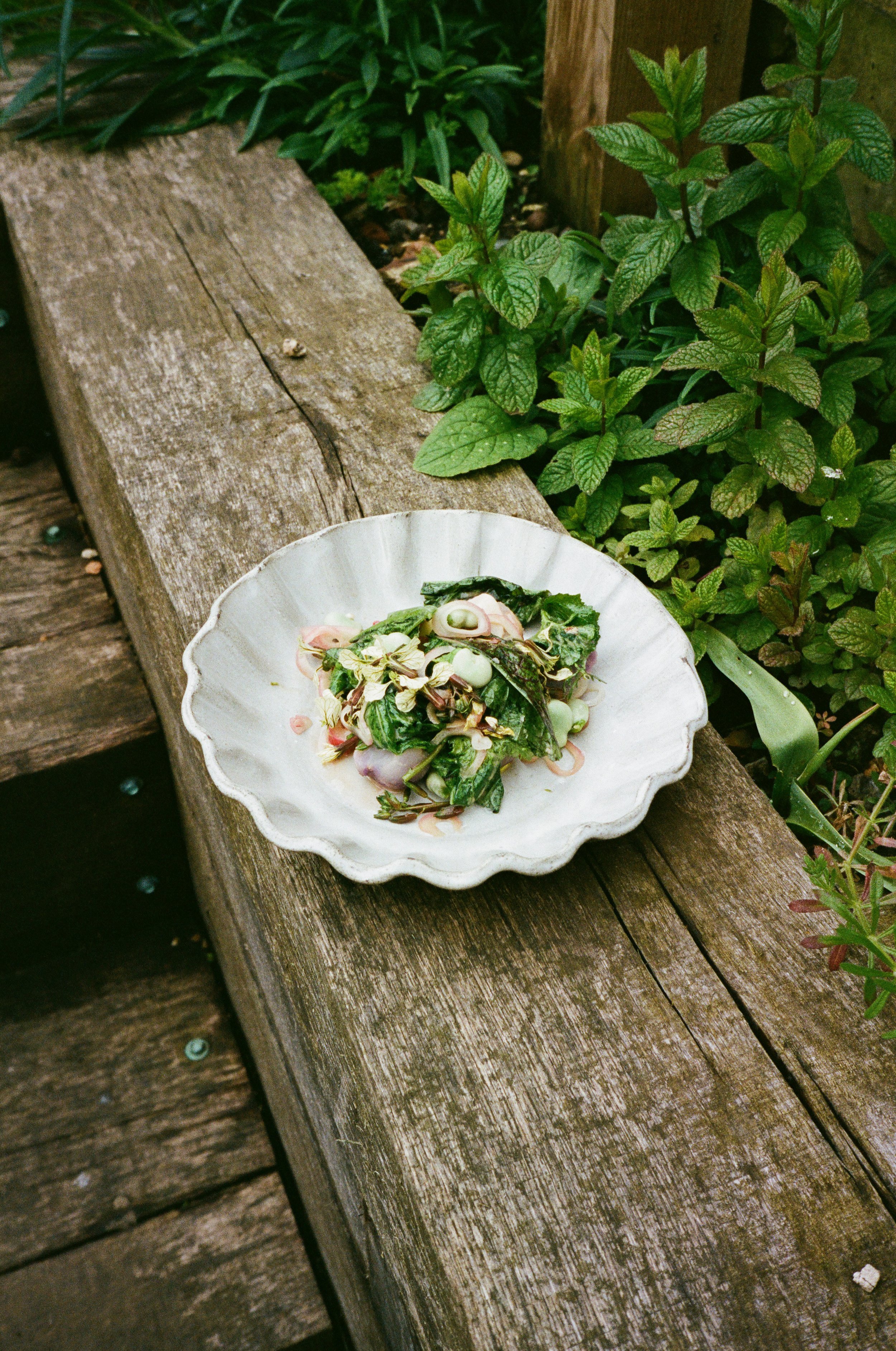 35MM-46.jpg