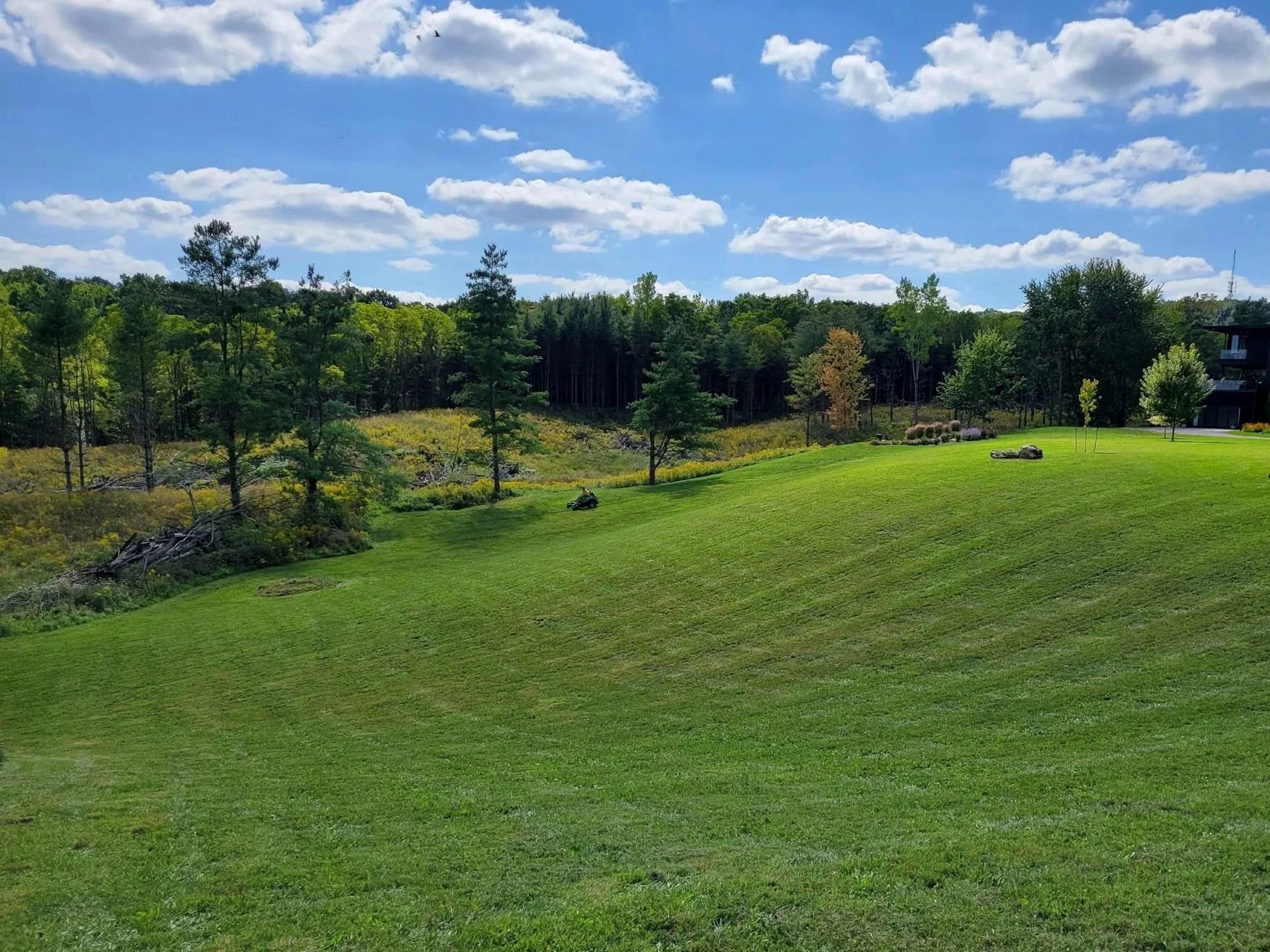 A professionally manicured lawn in St. Catharines featuring perfectly straight mow lines across rolling hills and steep embankments.