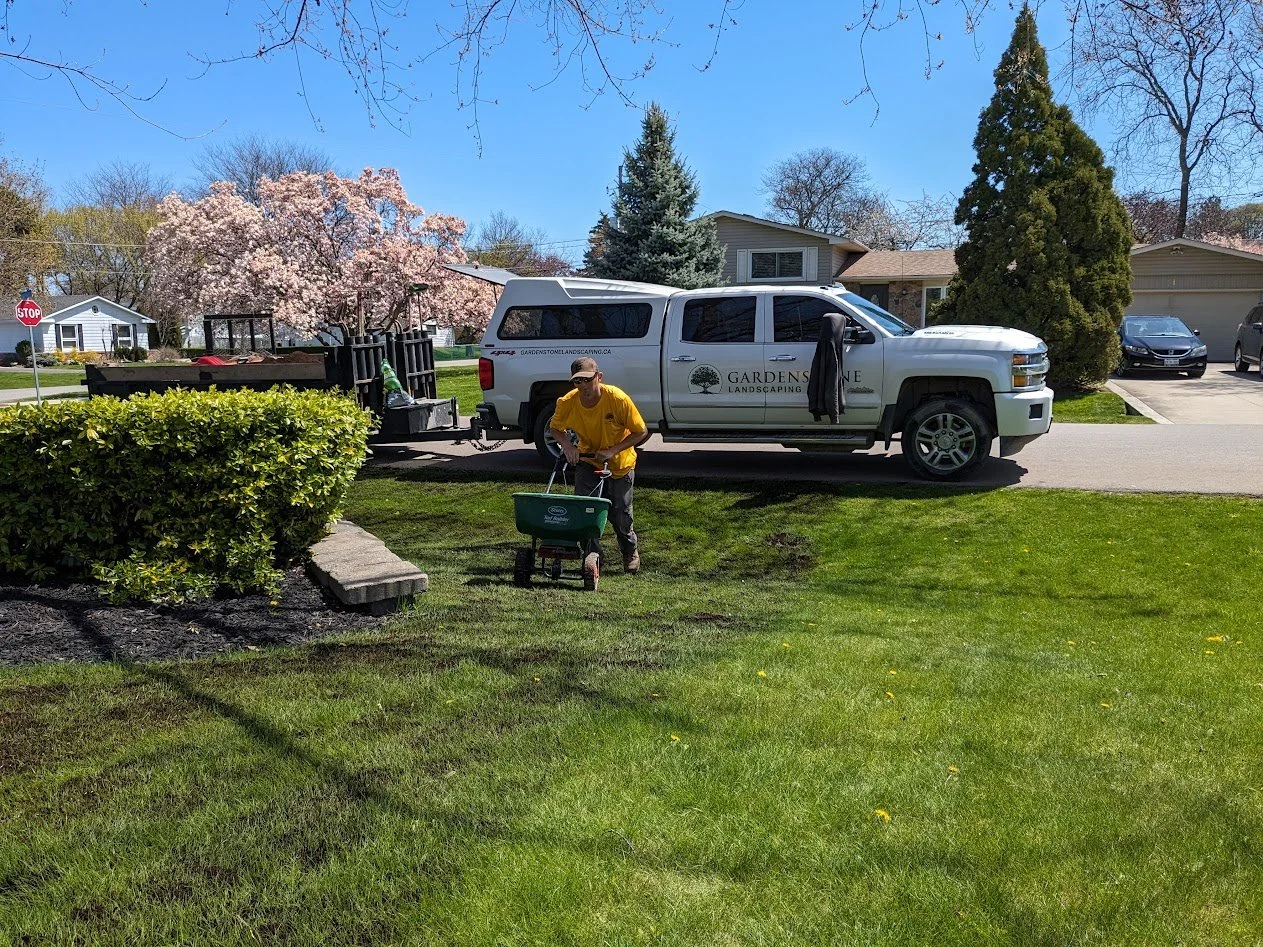 A Gardenstone Landscaping professional applying a thin layer of organic topsoil and spreading grass seed over an existing lawn to improve turf density.