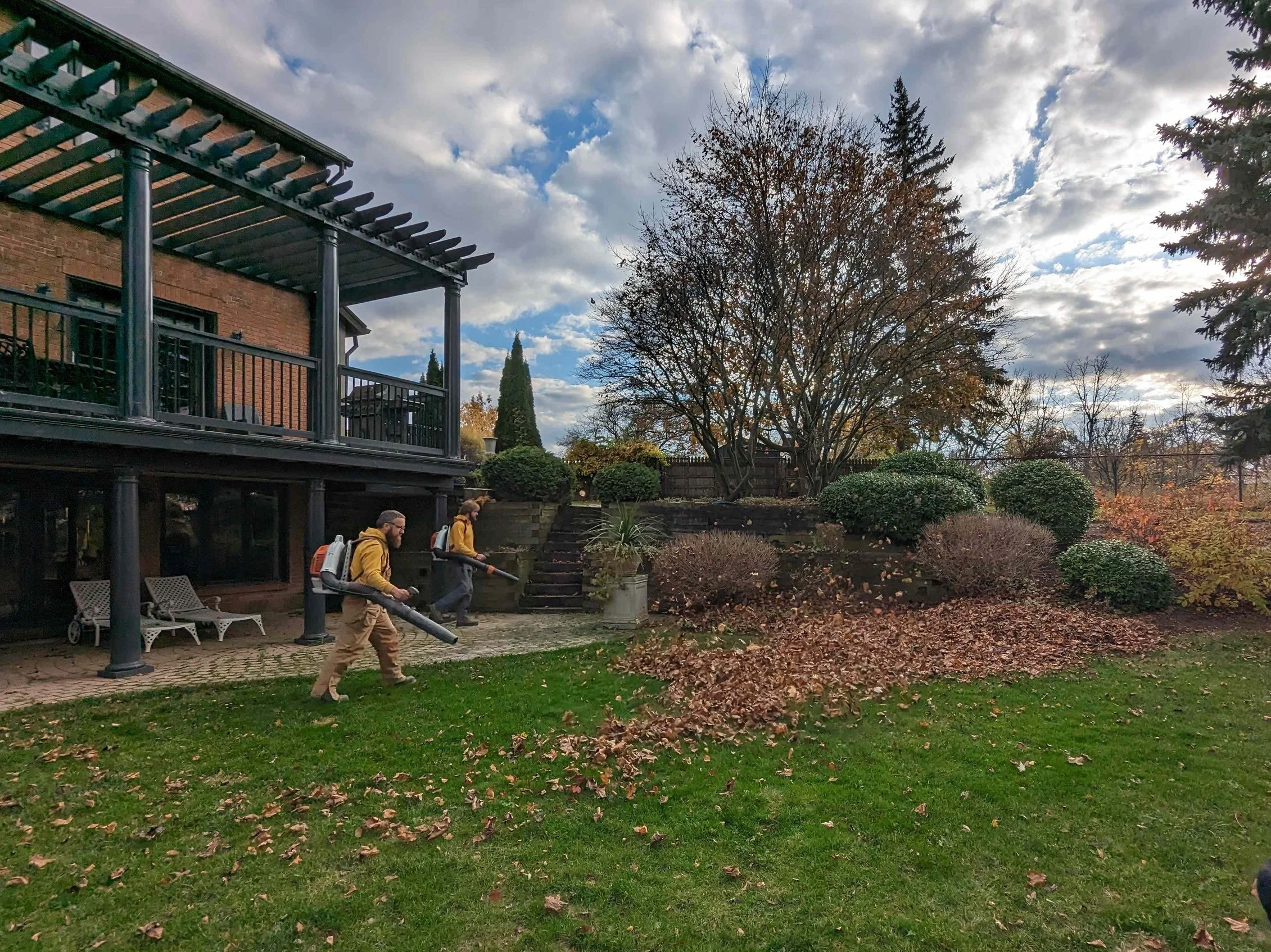 Gardenstone Landscaping professionals using leaf blowers to clear a large Thorold backyard lawn during a fall seasonal cleanup.