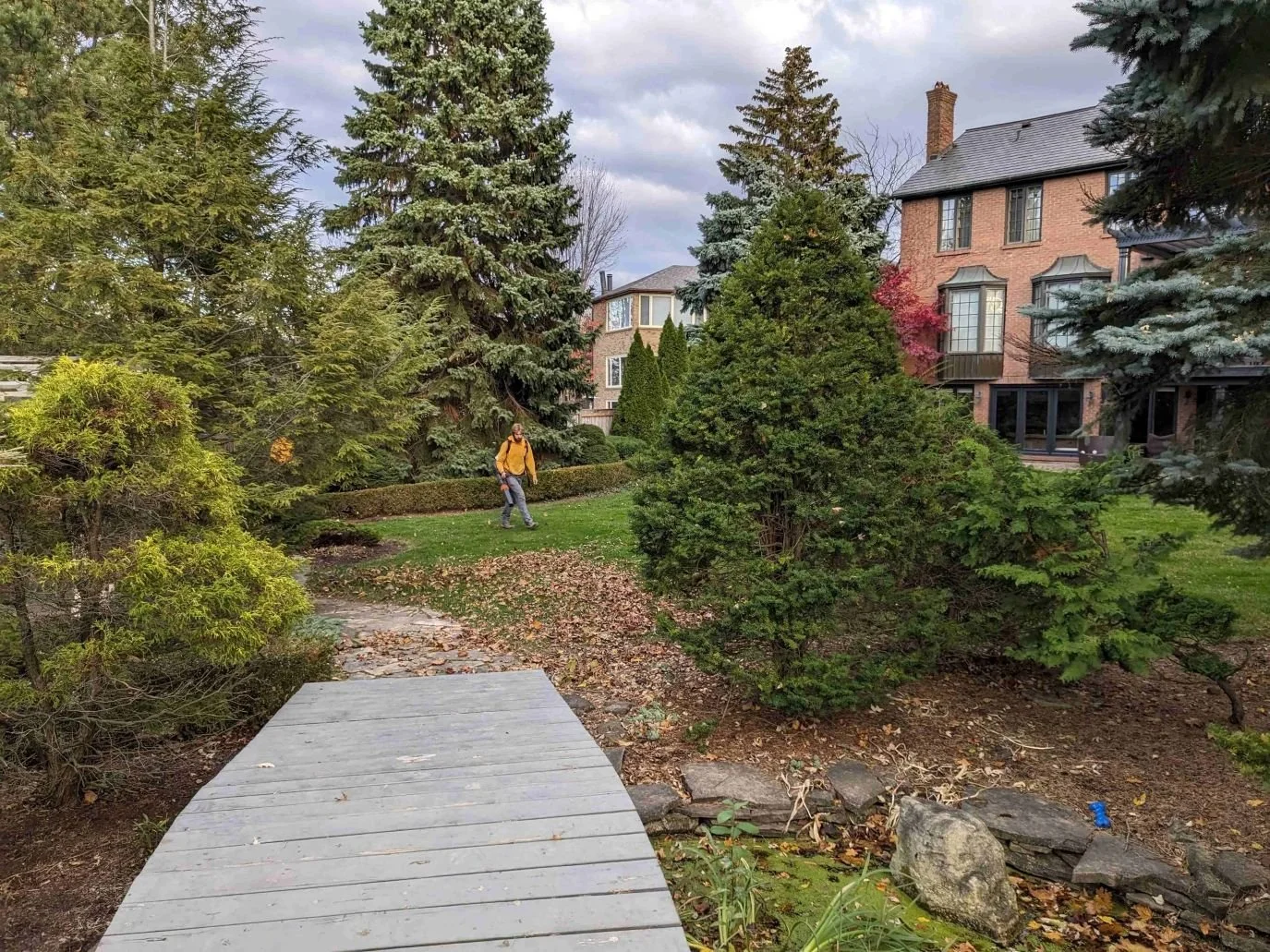 Landscaping team using professional leaf blowers to clear a residential lawn during a fall yard cleanup in St. Catharines.